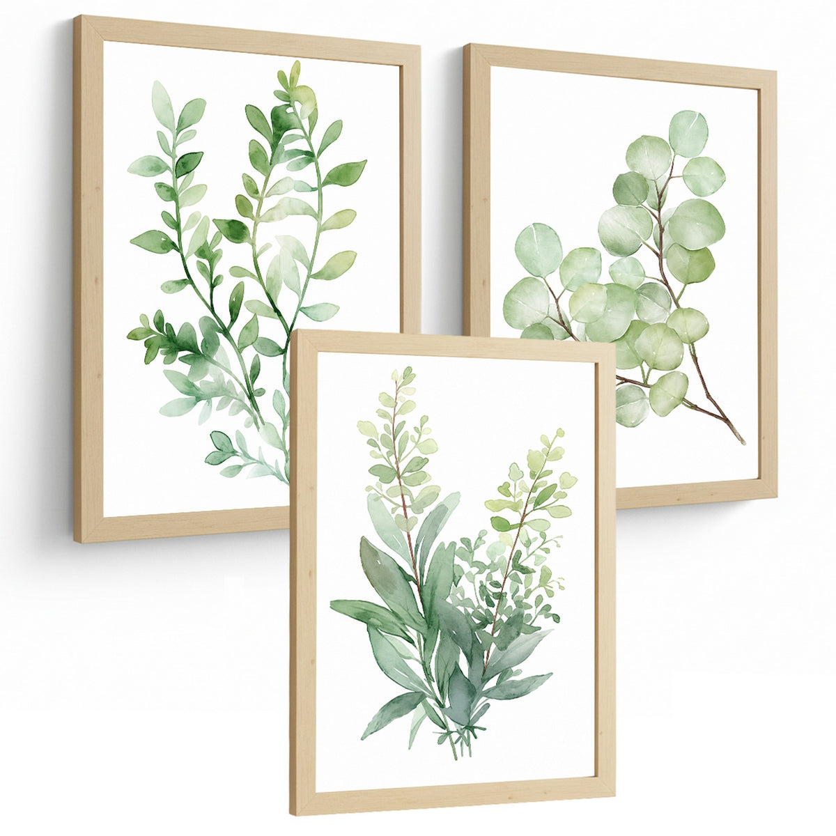 Posters Botánicos de Eucalipto con Hojas Verdes Acuarela