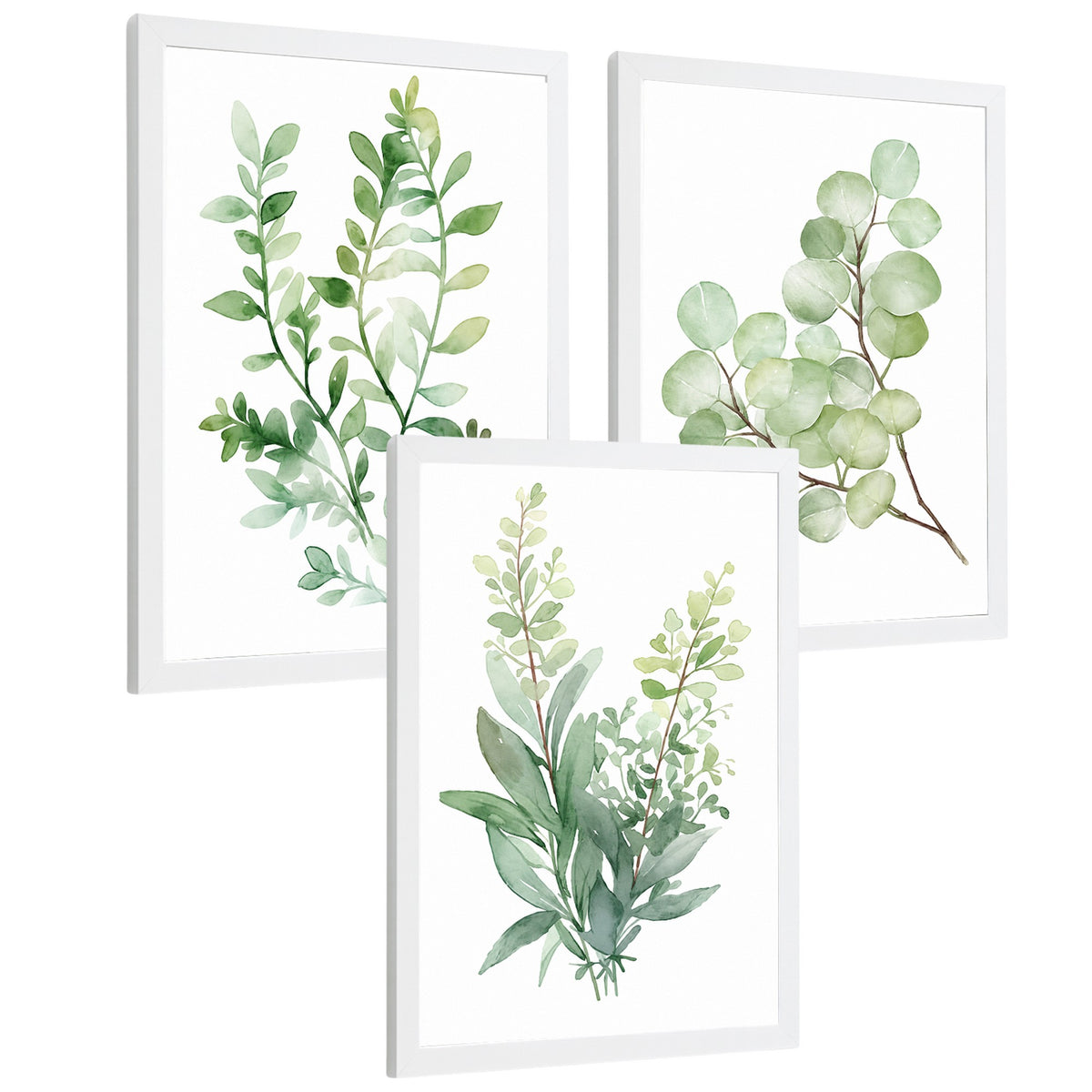 Posters Botánicos de Eucalipto con Hojas Verdes Acuarela