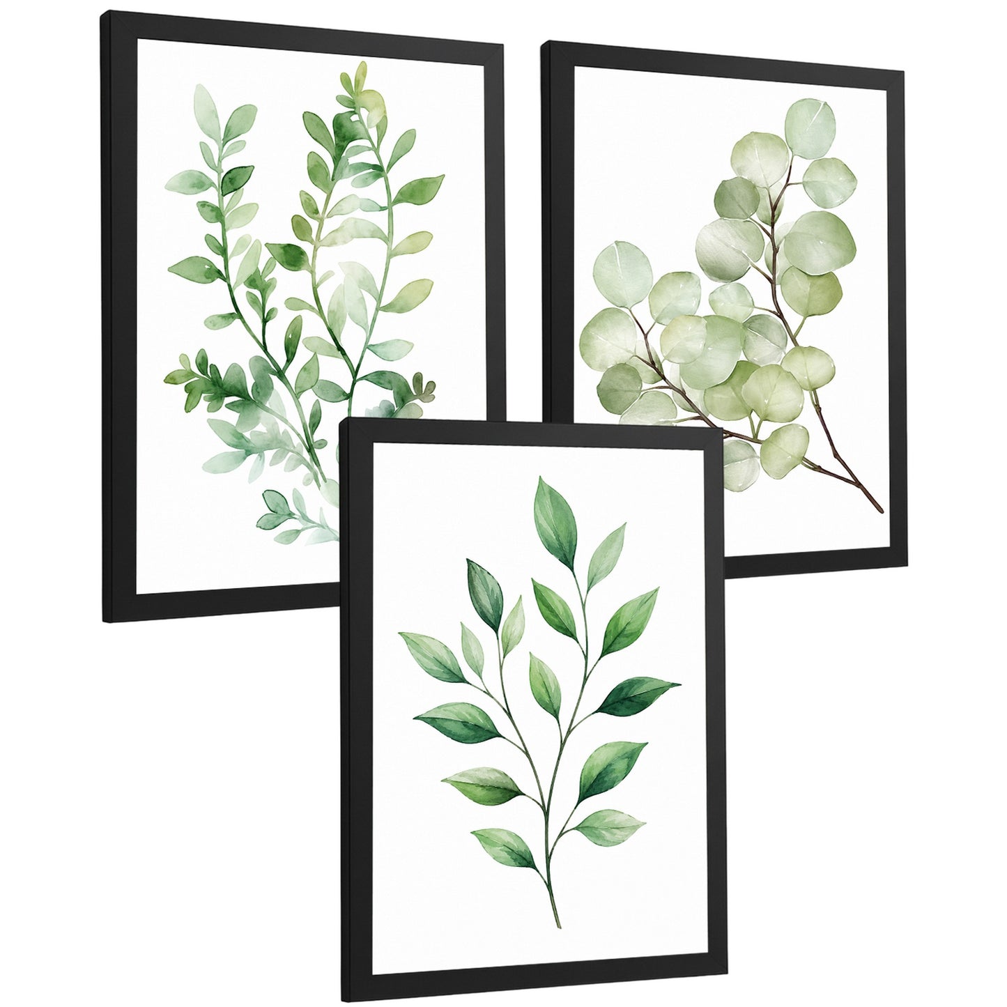 Posters de Hojas de Eucalipto con Arte Botánico Acuarela