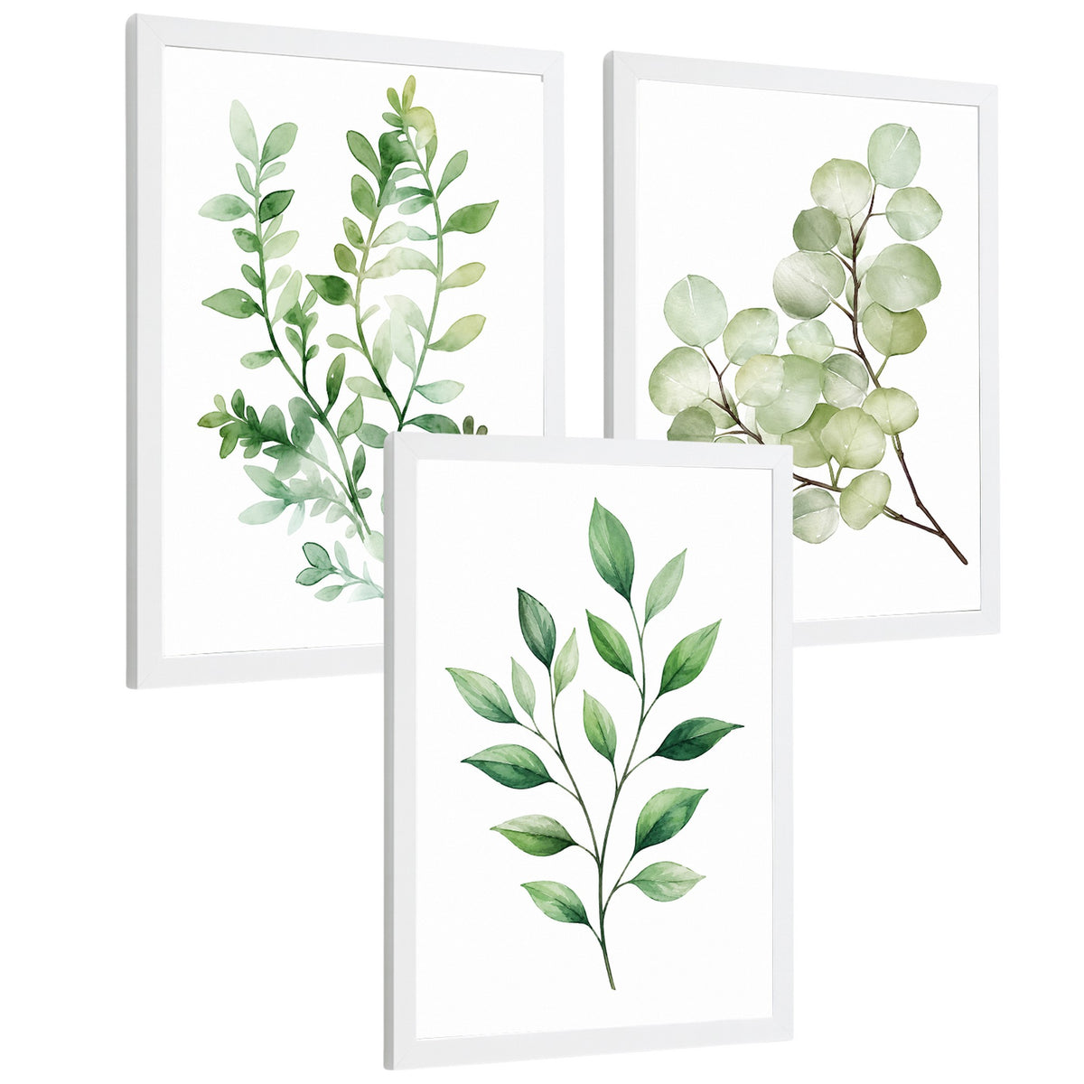 Posters de Hojas de Eucalipto con Arte Botánico Acuarela