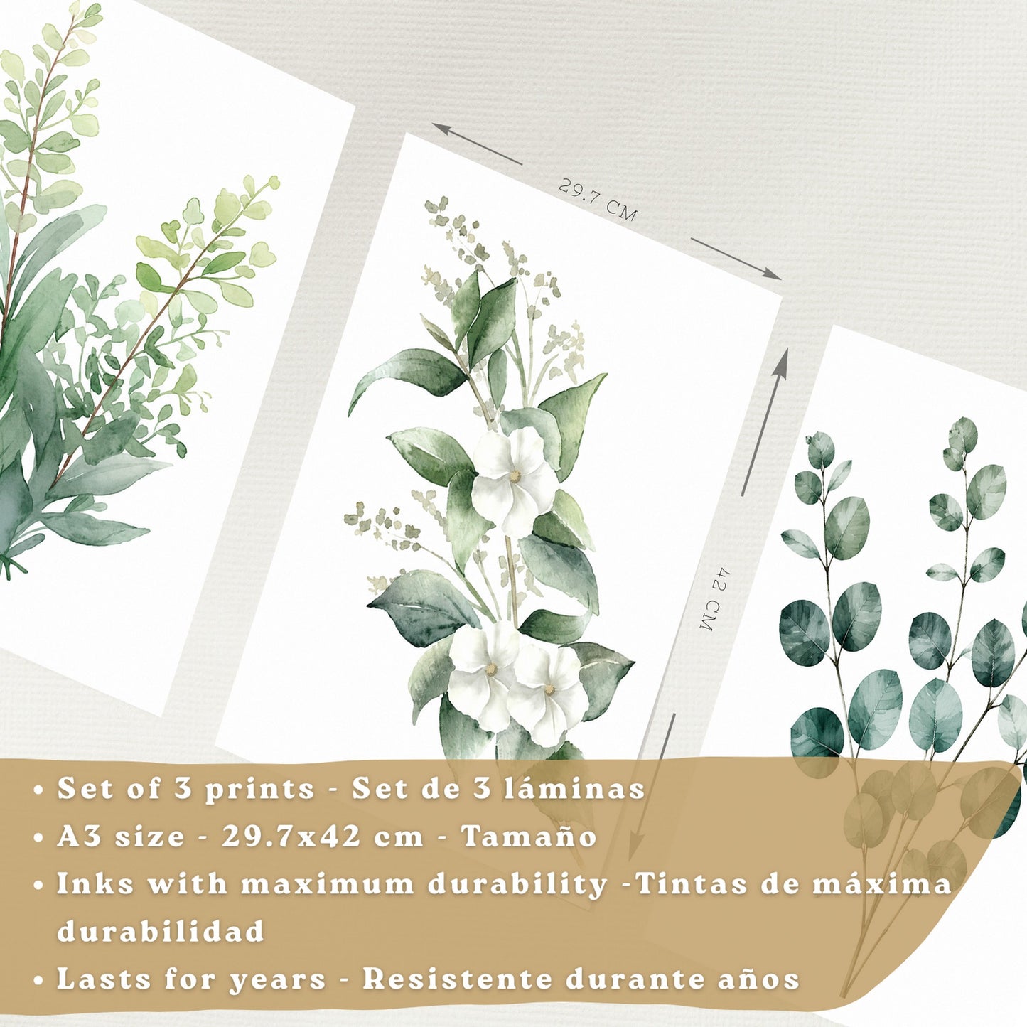 Posters Botánicos con Eucalipto y Arte Floral Blanco