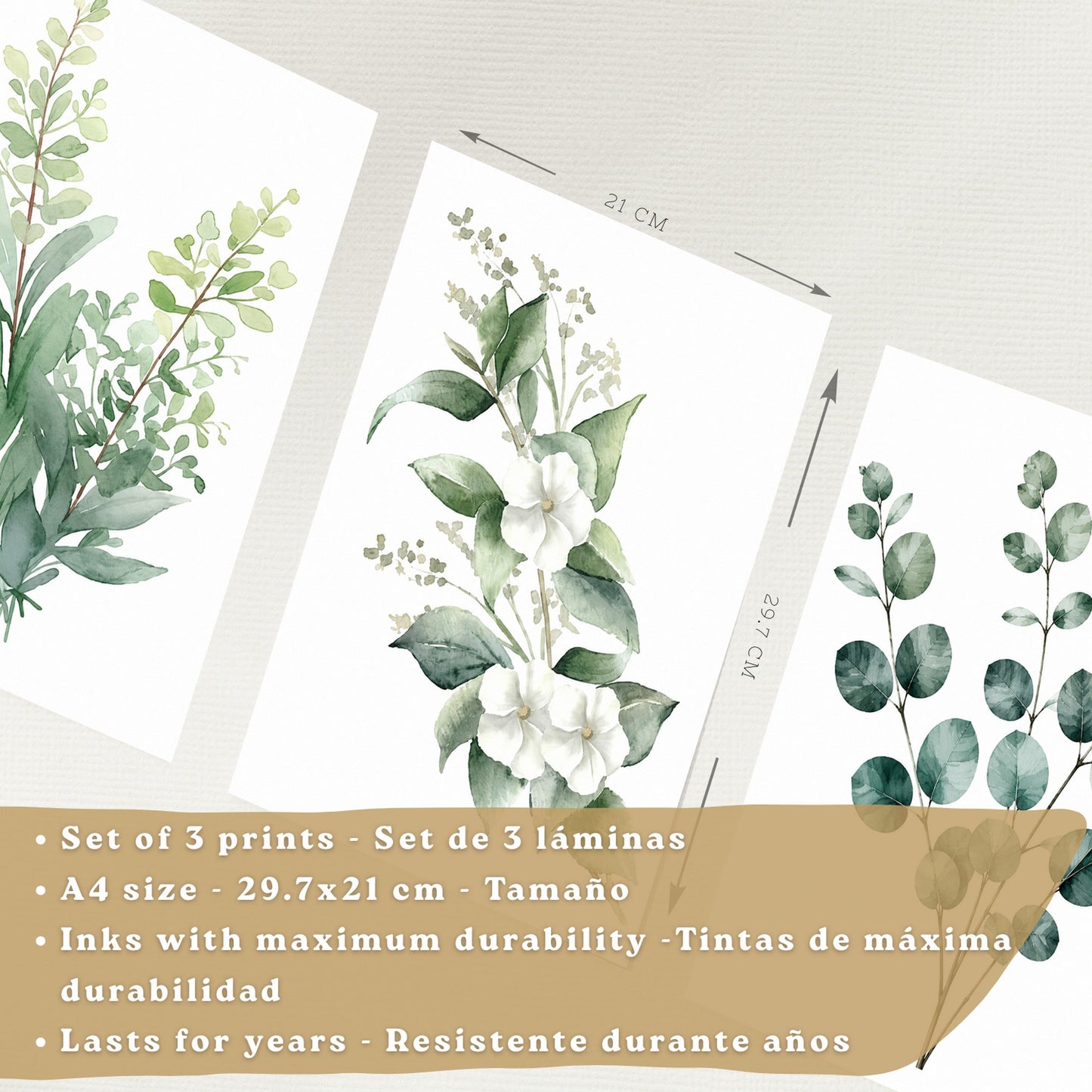 Posters Botánicos con Eucalipto y Arte Floral Blanco