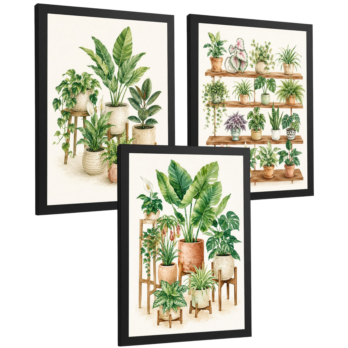Posters de Plantas de Interior con Arte Botánico Tropical
