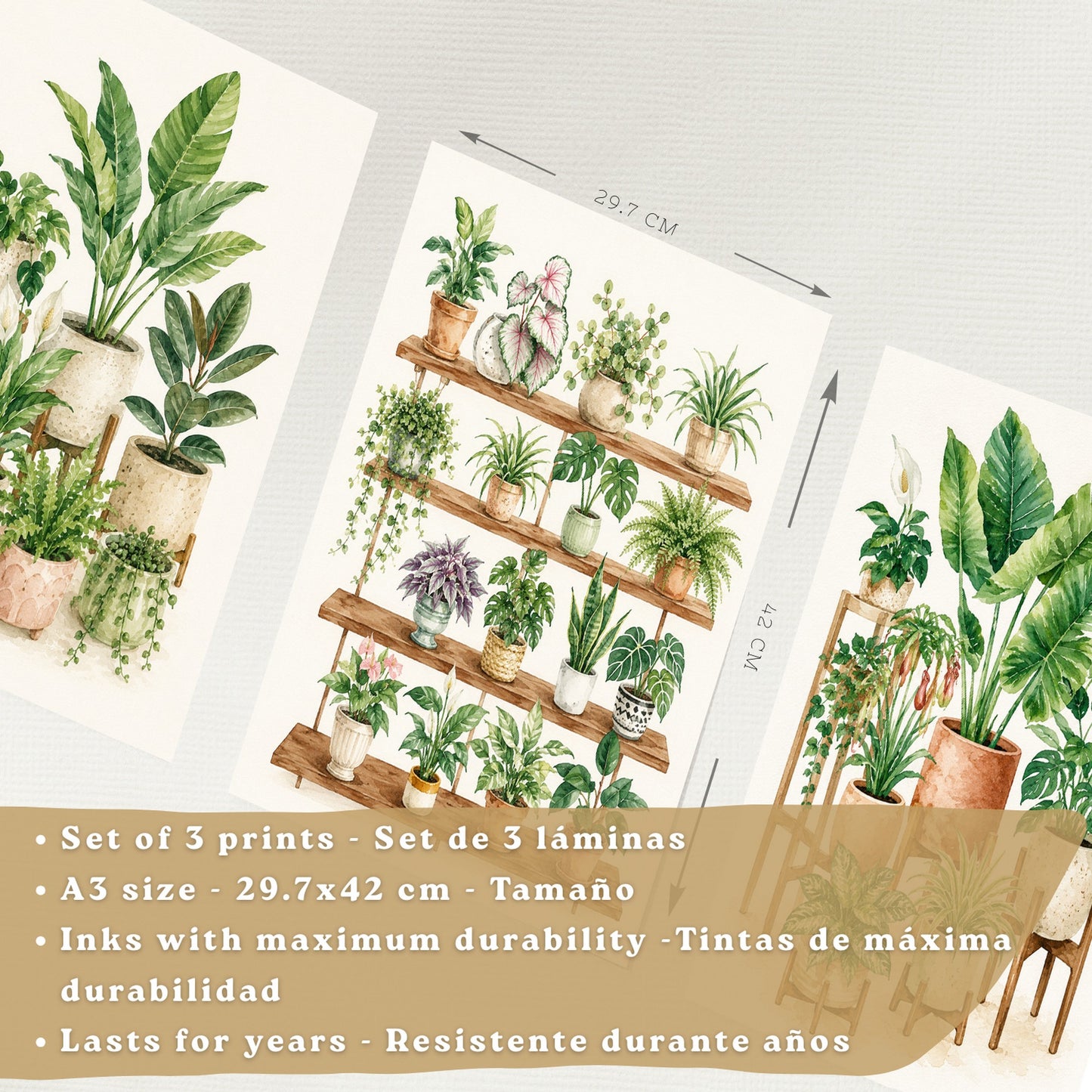 Posters de Plantas de Interior con Arte Botánico Tropical