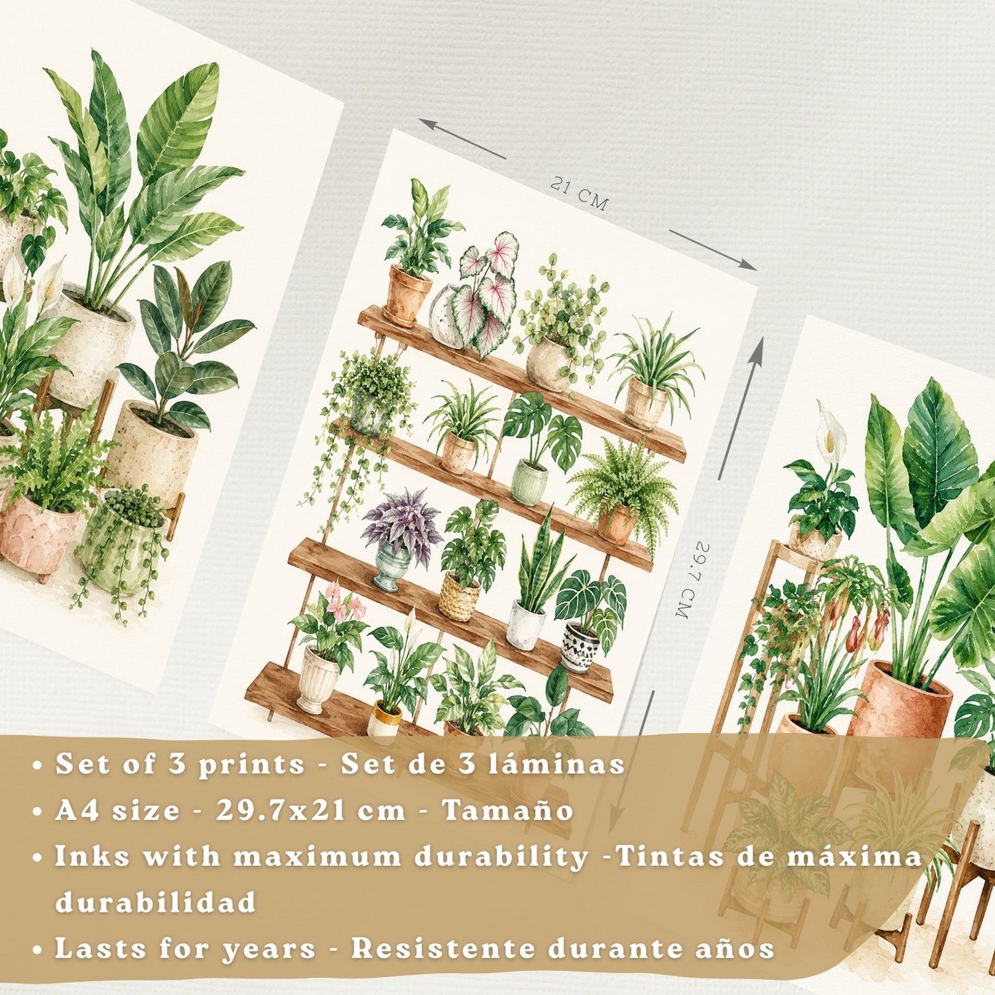 Posters de Plantas de Interior con Arte Botánico Tropical