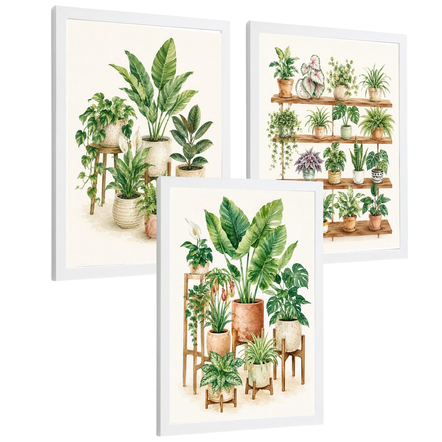 Posters de Plantas de Interior con Arte Botánico Tropical