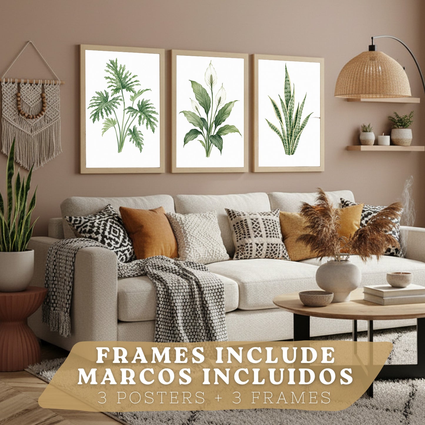 Posters Tropicales con Filodendro, Lirio de la Paz y Sansevieria