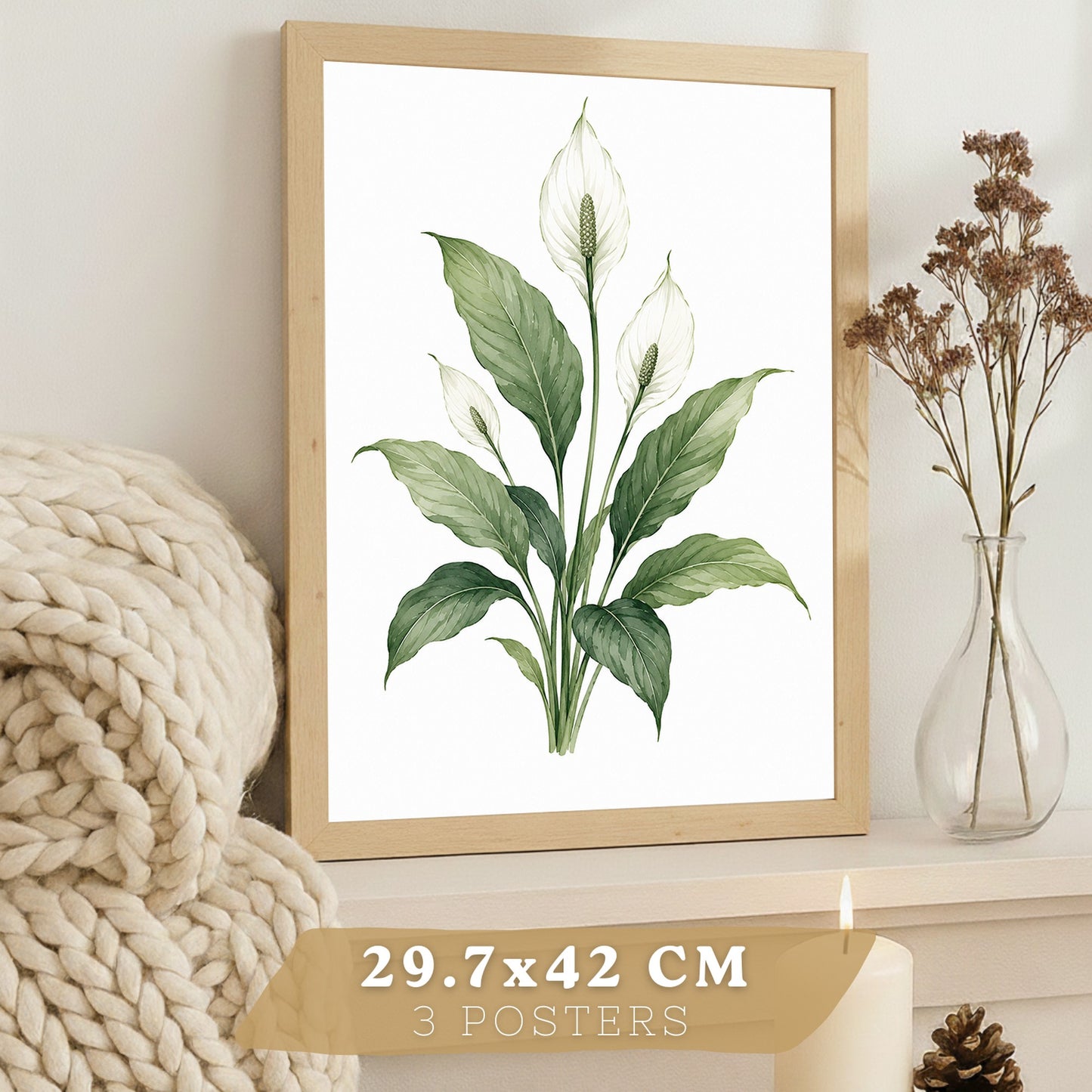 Posters Tropicales con Filodendro, Lirio de la Paz y Sansevieria
