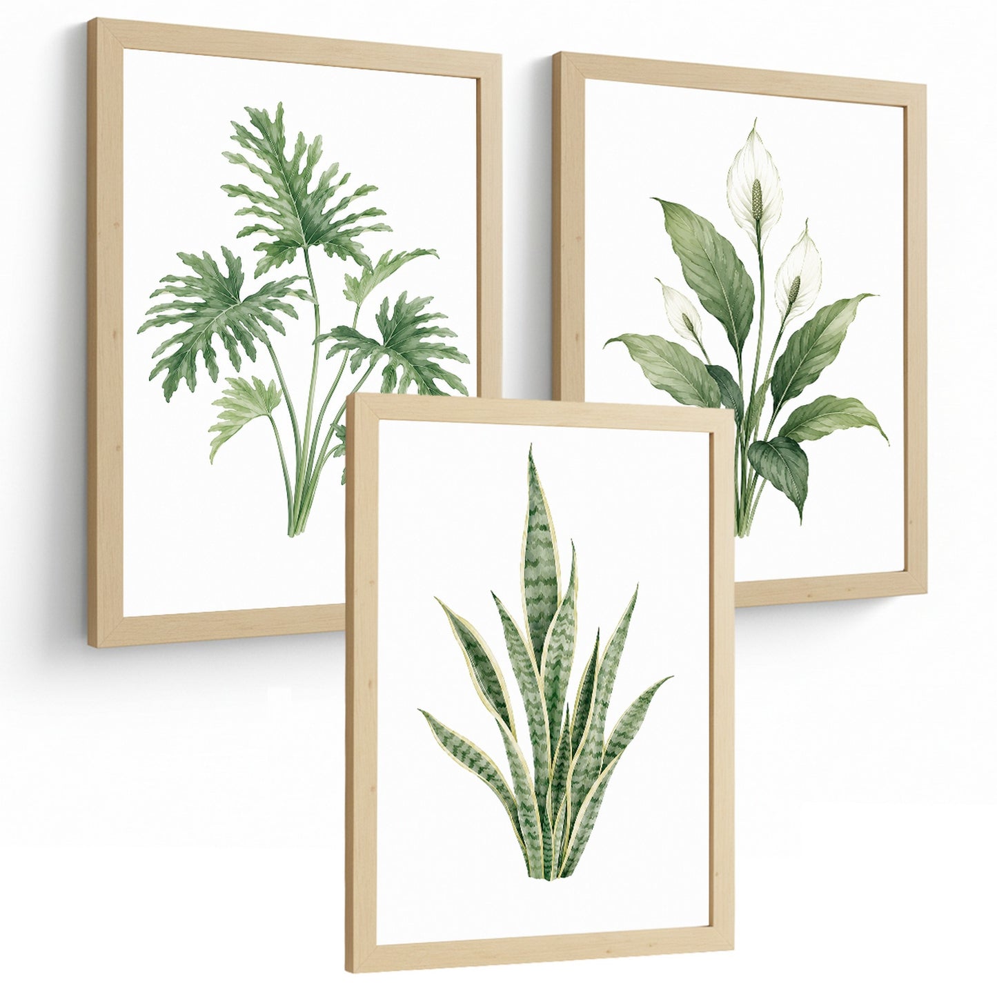 Posters Tropicales con Filodendro, Lirio de la Paz y Sansevieria