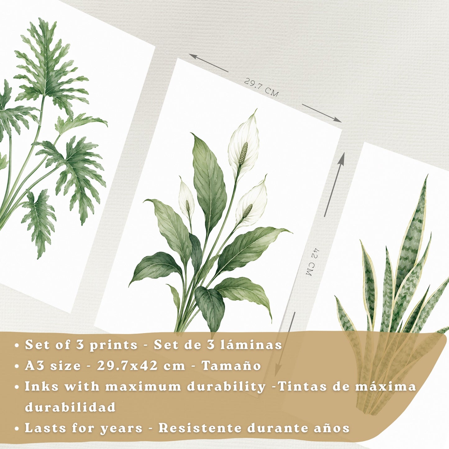 Posters Tropicales con Filodendro, Lirio de la Paz y Sansevieria