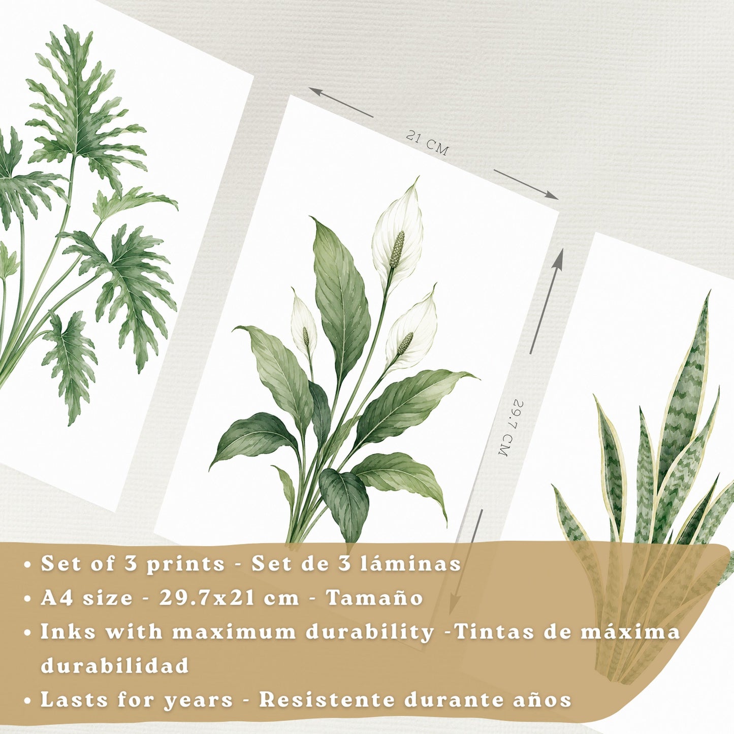 Posters Tropicales con Filodendro, Lirio de la Paz y Sansevieria