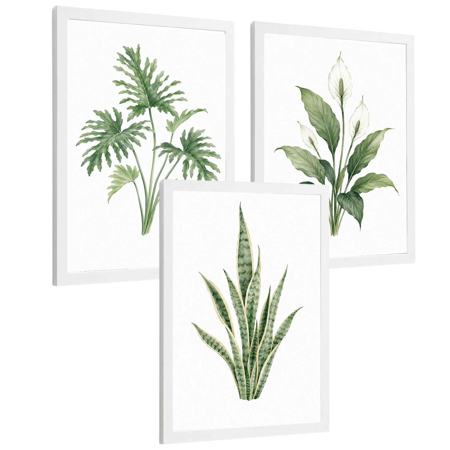 Posters Tropicales con Filodendro, Lirio de la Paz y Sansevieria