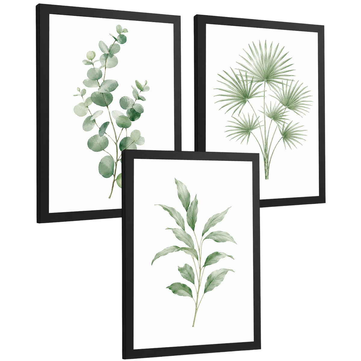 Posters Botánicos de Hojas con Eucalipto y Palma Acuarela