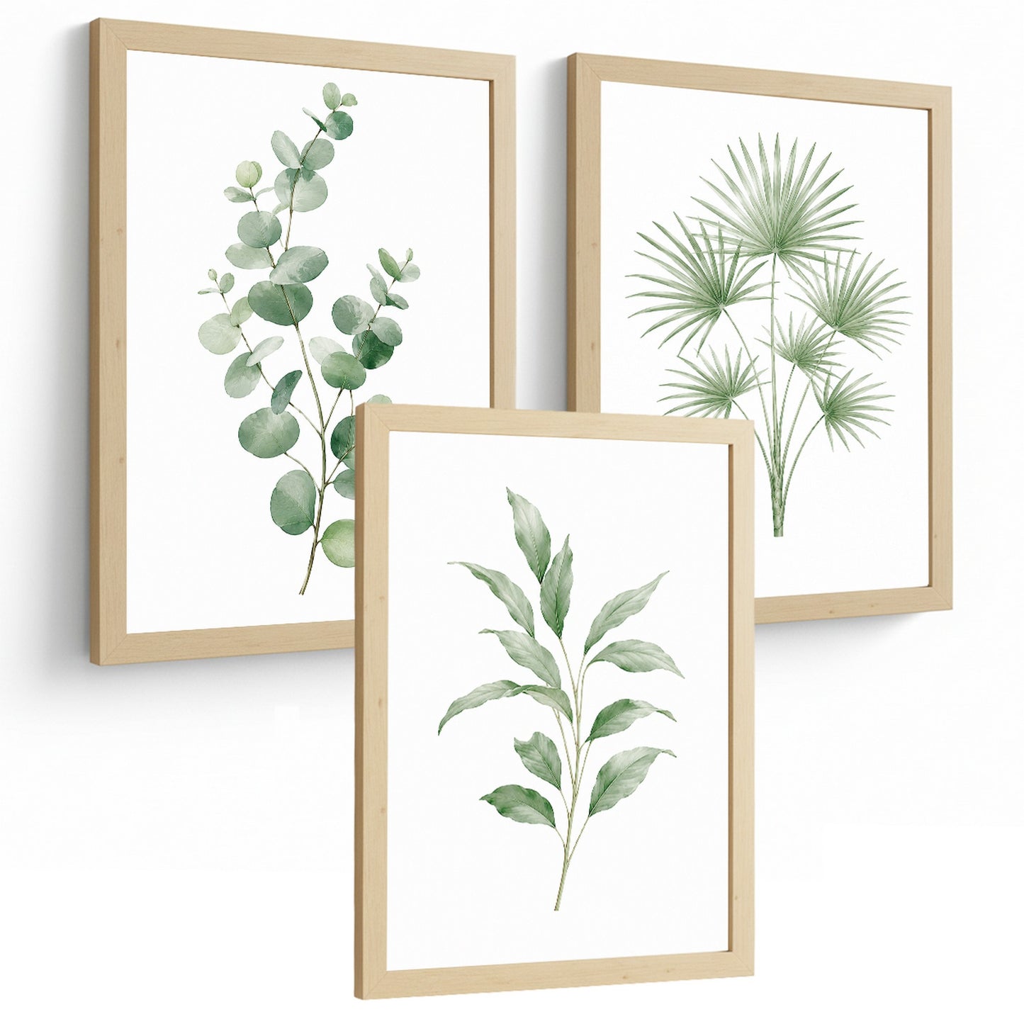 Posters Botánicos de Hojas con Eucalipto y Palma Acuarela