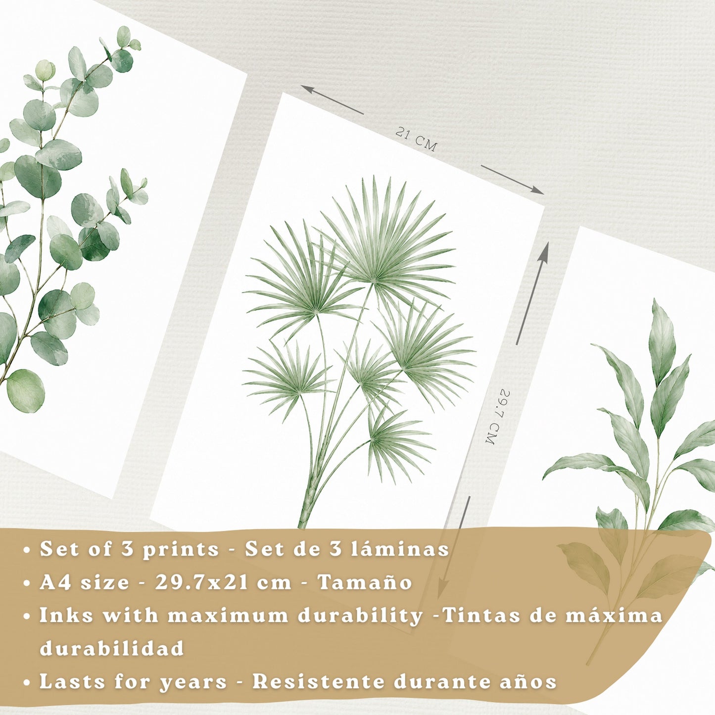Posters Botánicos de Hojas con Eucalipto y Palma Acuarela