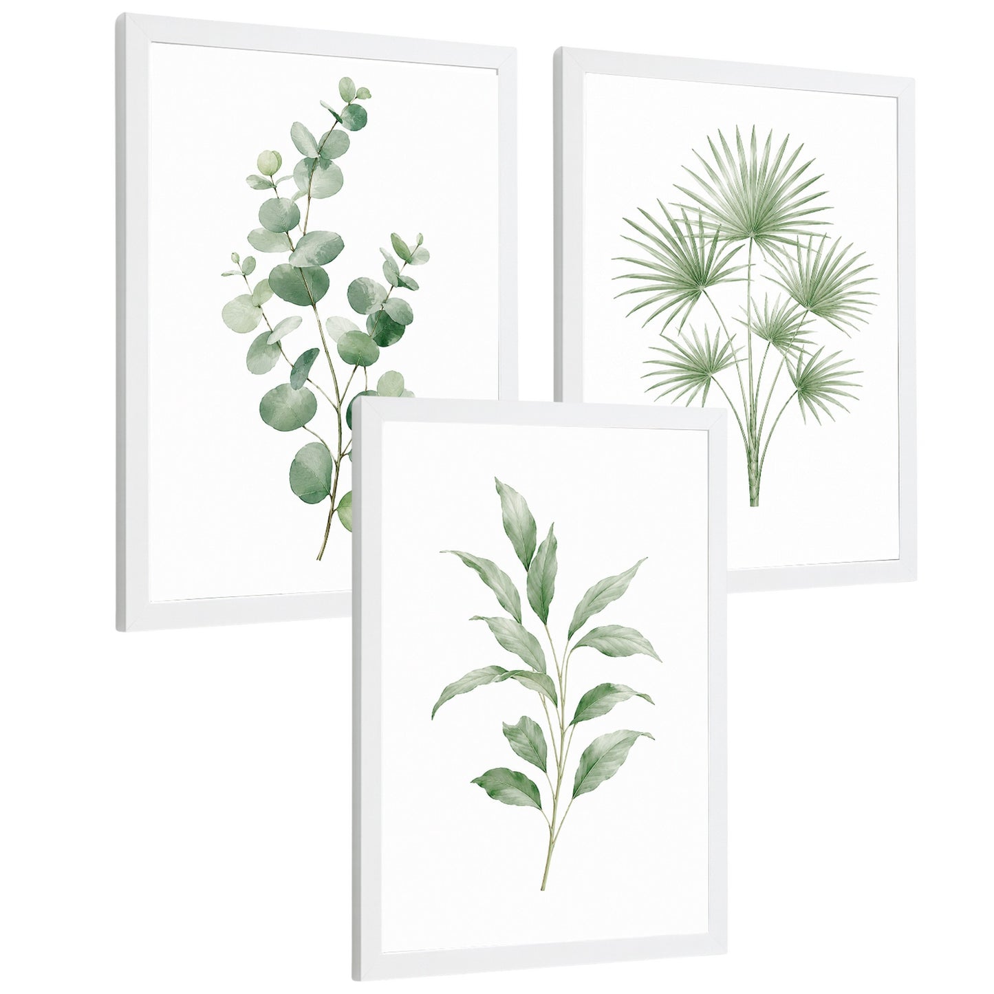 Posters Botánicos de Hojas con Eucalipto y Palma Acuarela