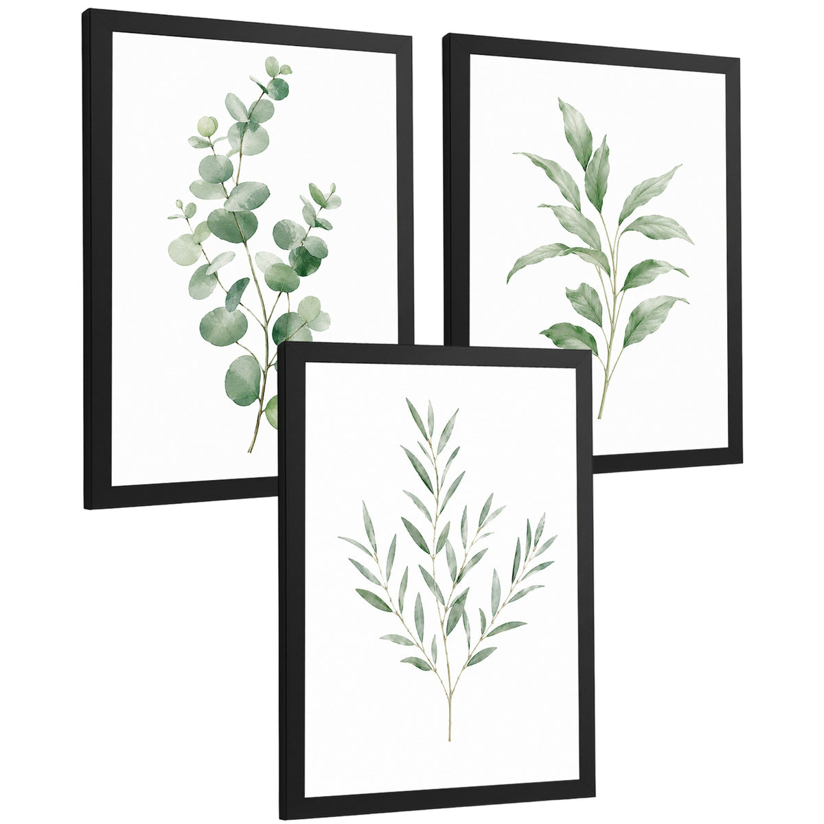 Posters Botánicos con Eucalipto y Arte de Hojas Verde Salvia