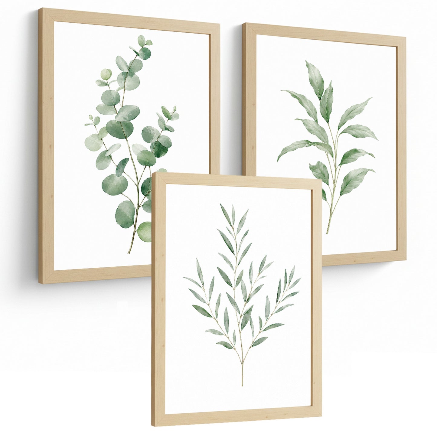 Posters Botánicos con Eucalipto y Arte de Hojas Verde Salvia