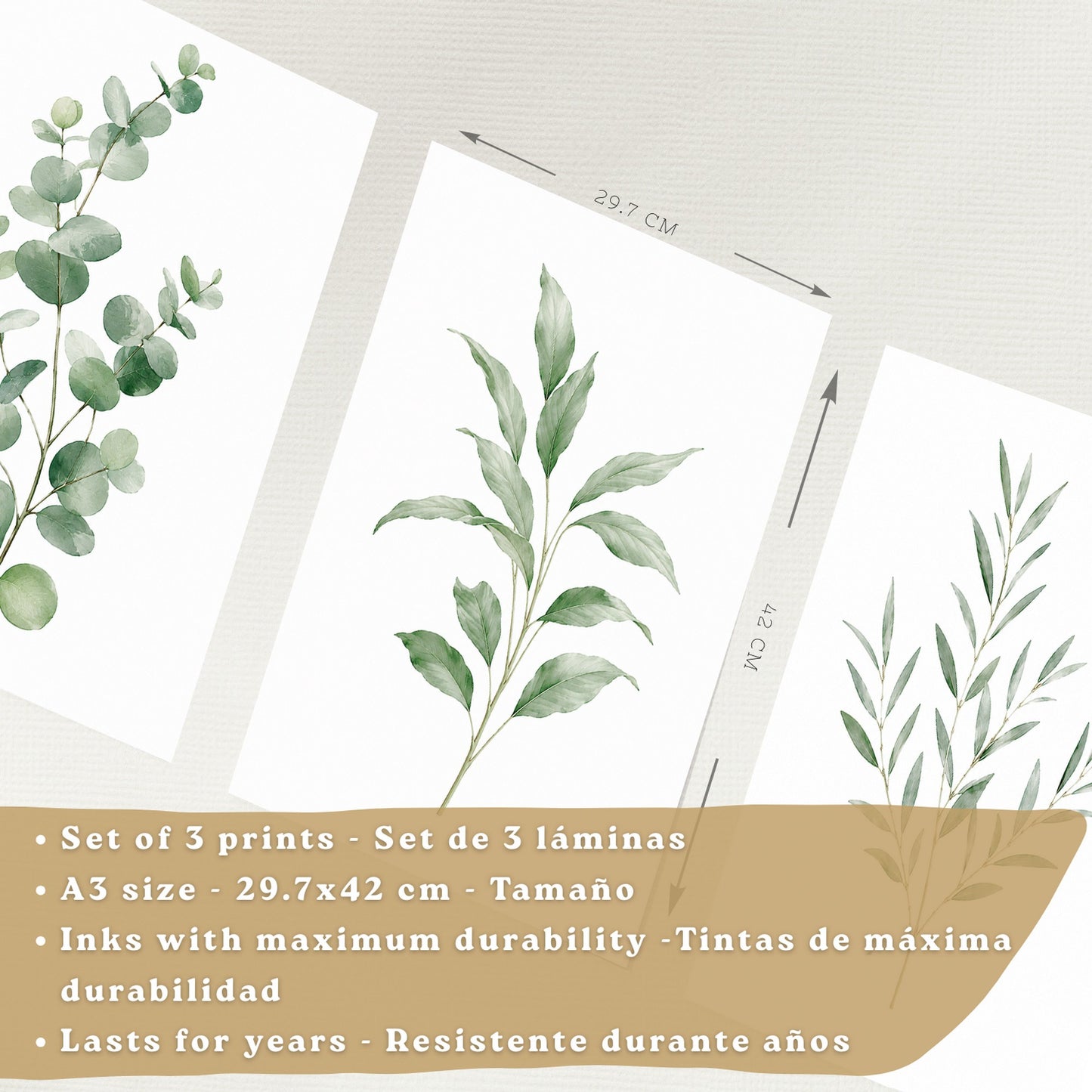 Posters Botánicos con Eucalipto y Arte de Hojas Verde Salvia