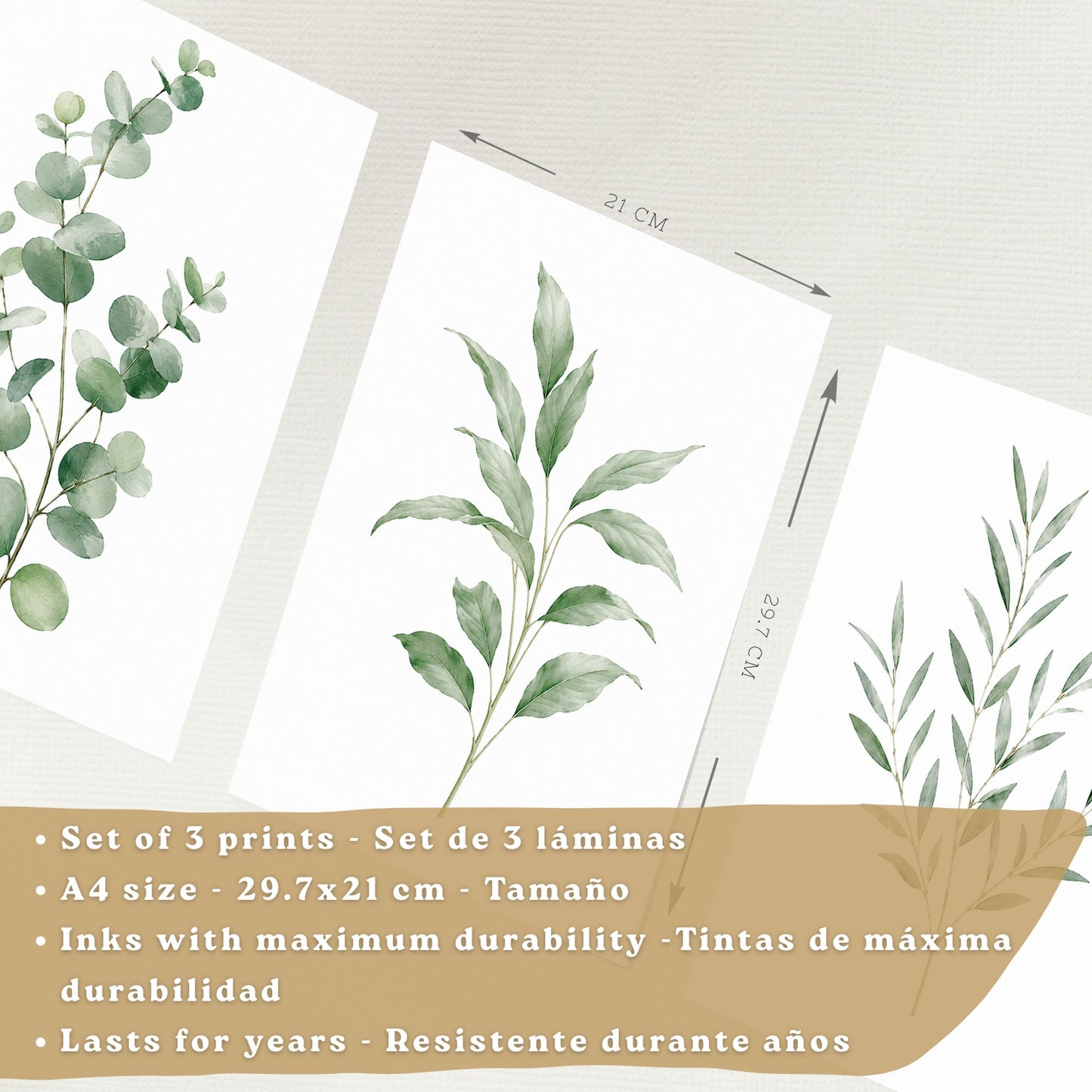 Posters Botánicos con Eucalipto y Arte de Hojas Verde Salvia