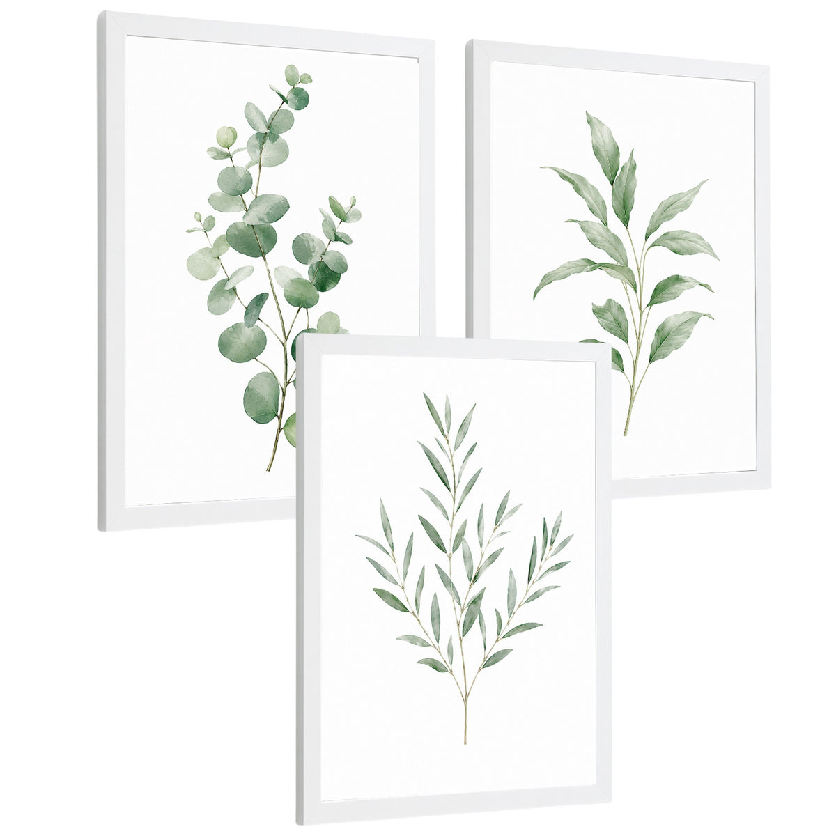 Posters Botánicos con Eucalipto y Arte de Hojas Verde Salvia