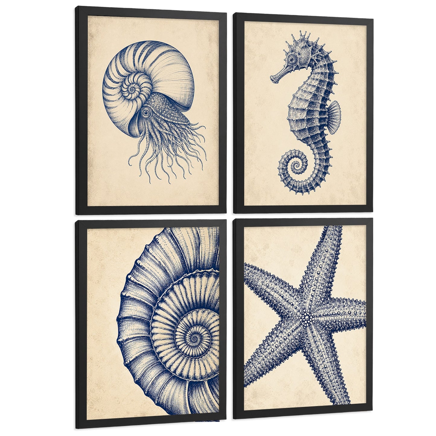 Posters de Costero con Nautilus Caballito de Mar y Estrella de Mar