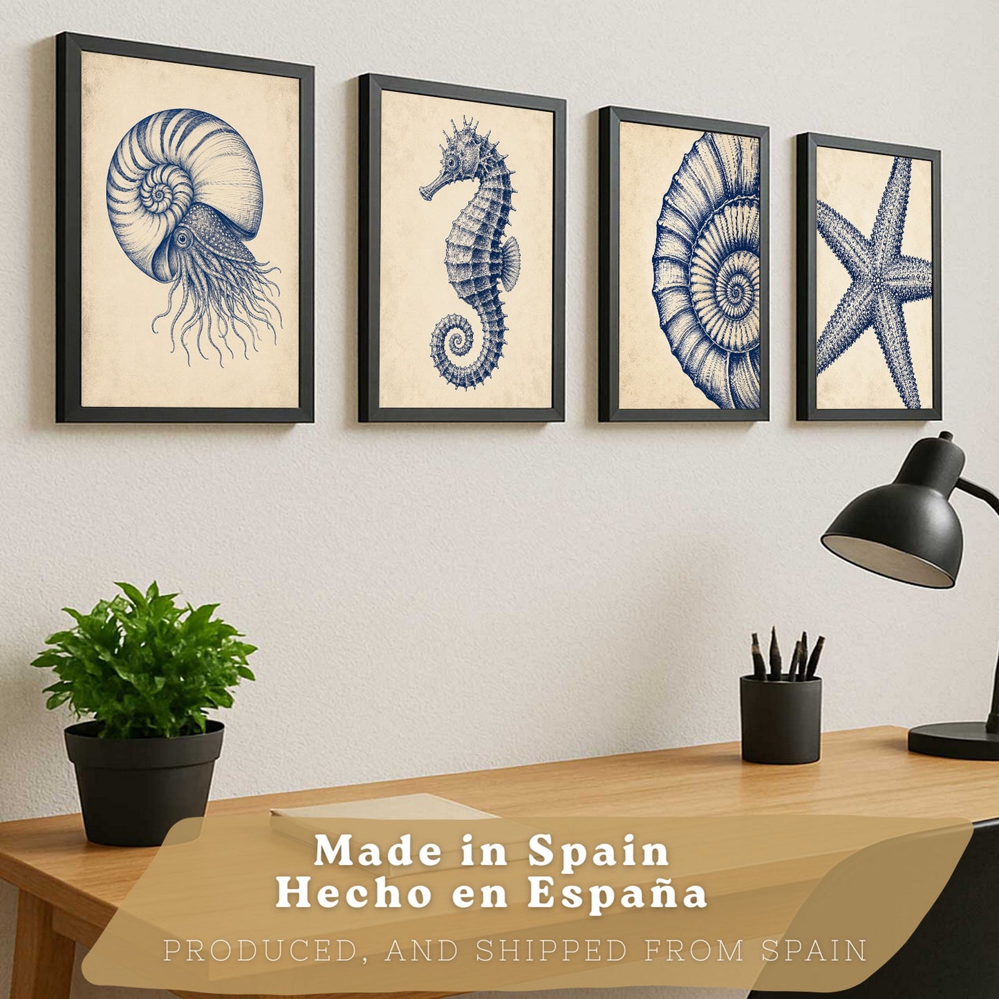 Posters de Costero con Nautilus Caballito de Mar y Estrella de Mar