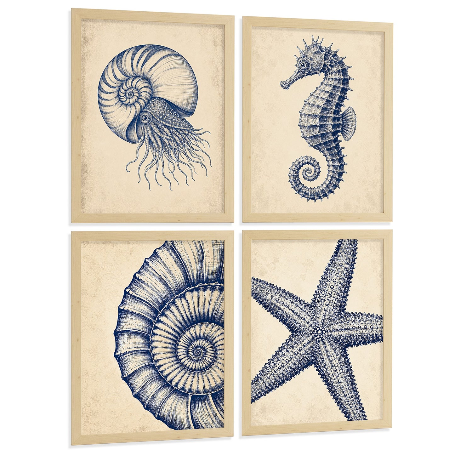Posters de Costero con Nautilus Caballito de Mar y Estrella de Mar