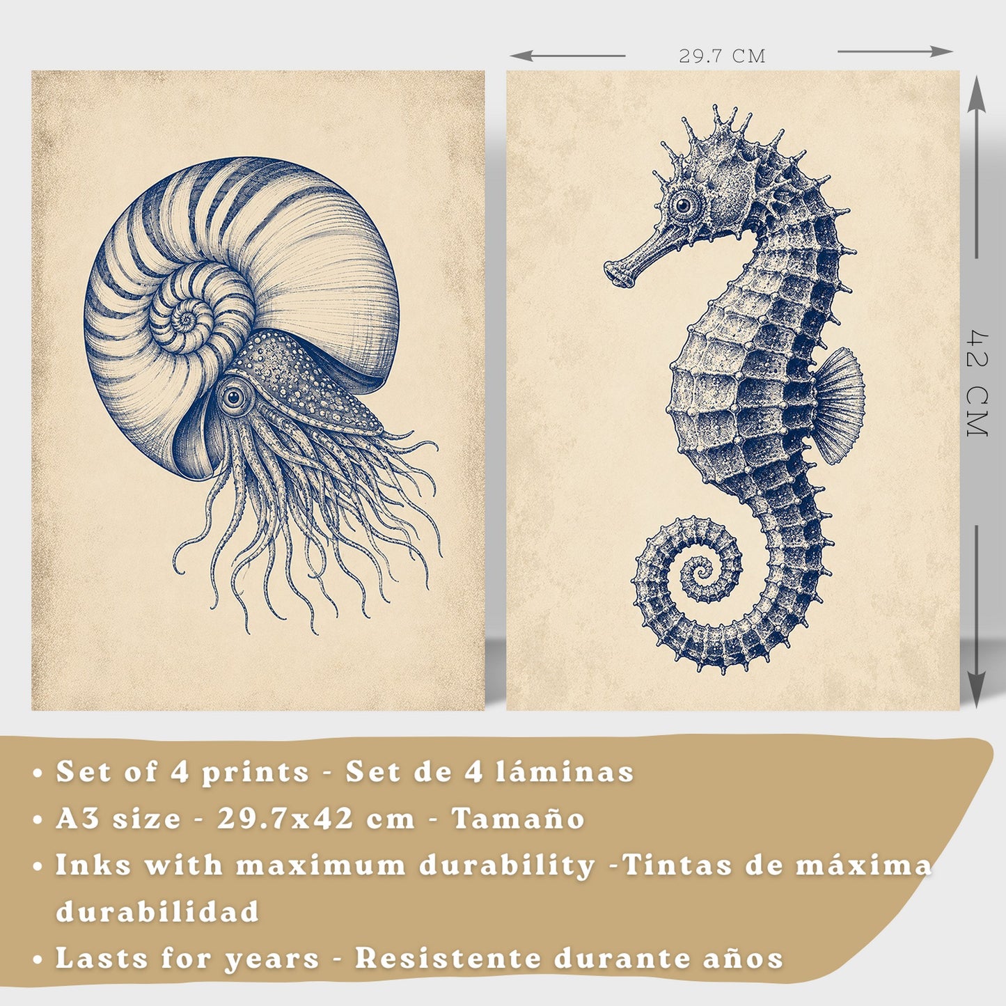 Posters de Costero con Nautilus Caballito de Mar y Estrella de Mar