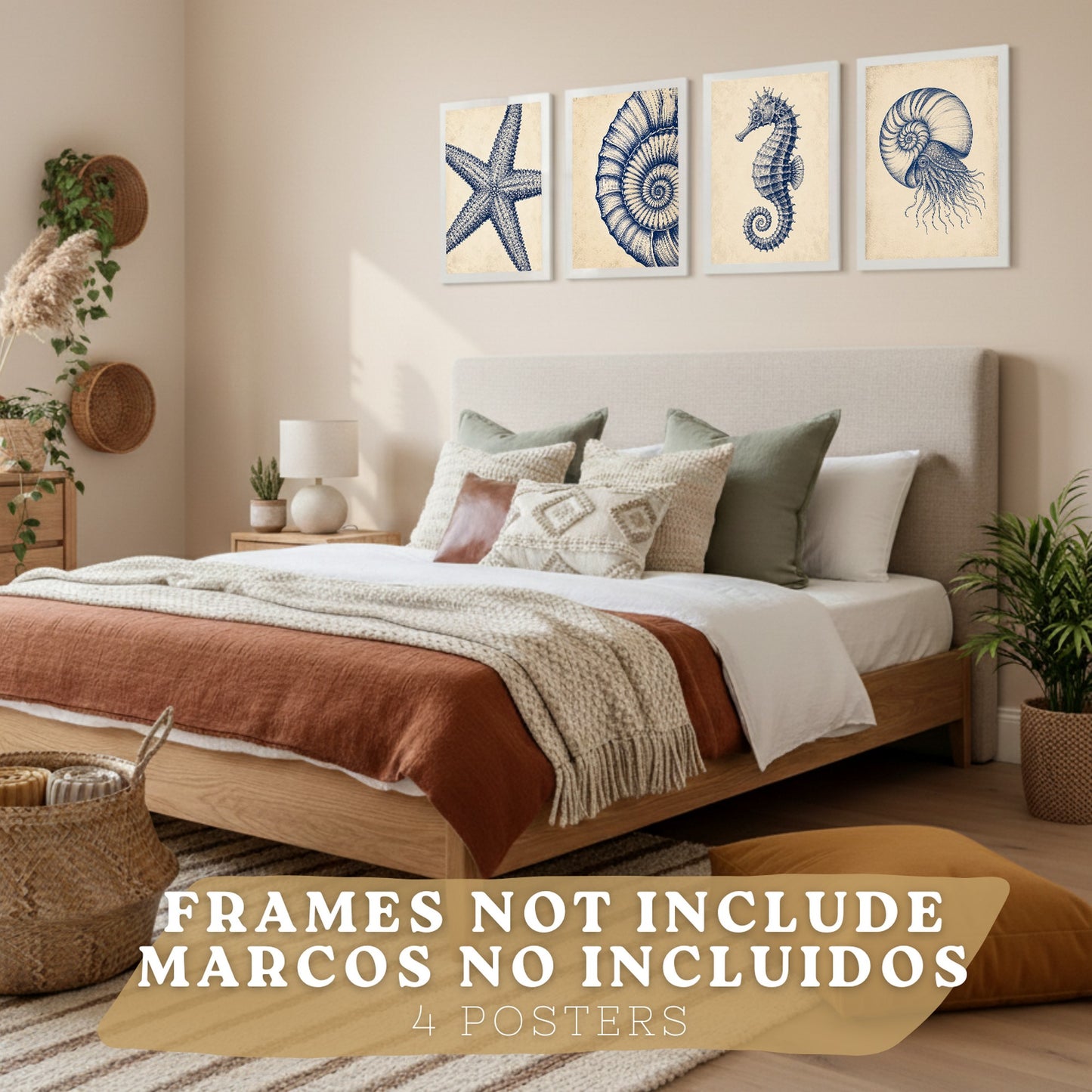 Posters de Costero con Nautilus Caballito de Mar y Estrella de Mar