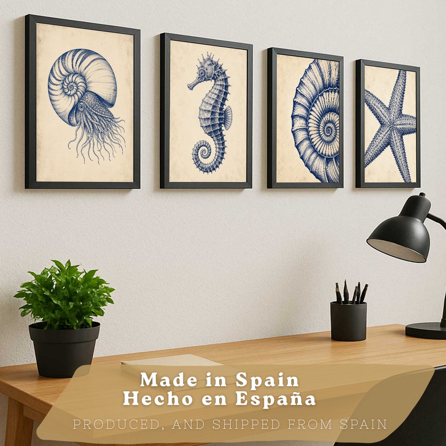 Posters de Costero con Nautilus Caballito de Mar y Estrella de Mar