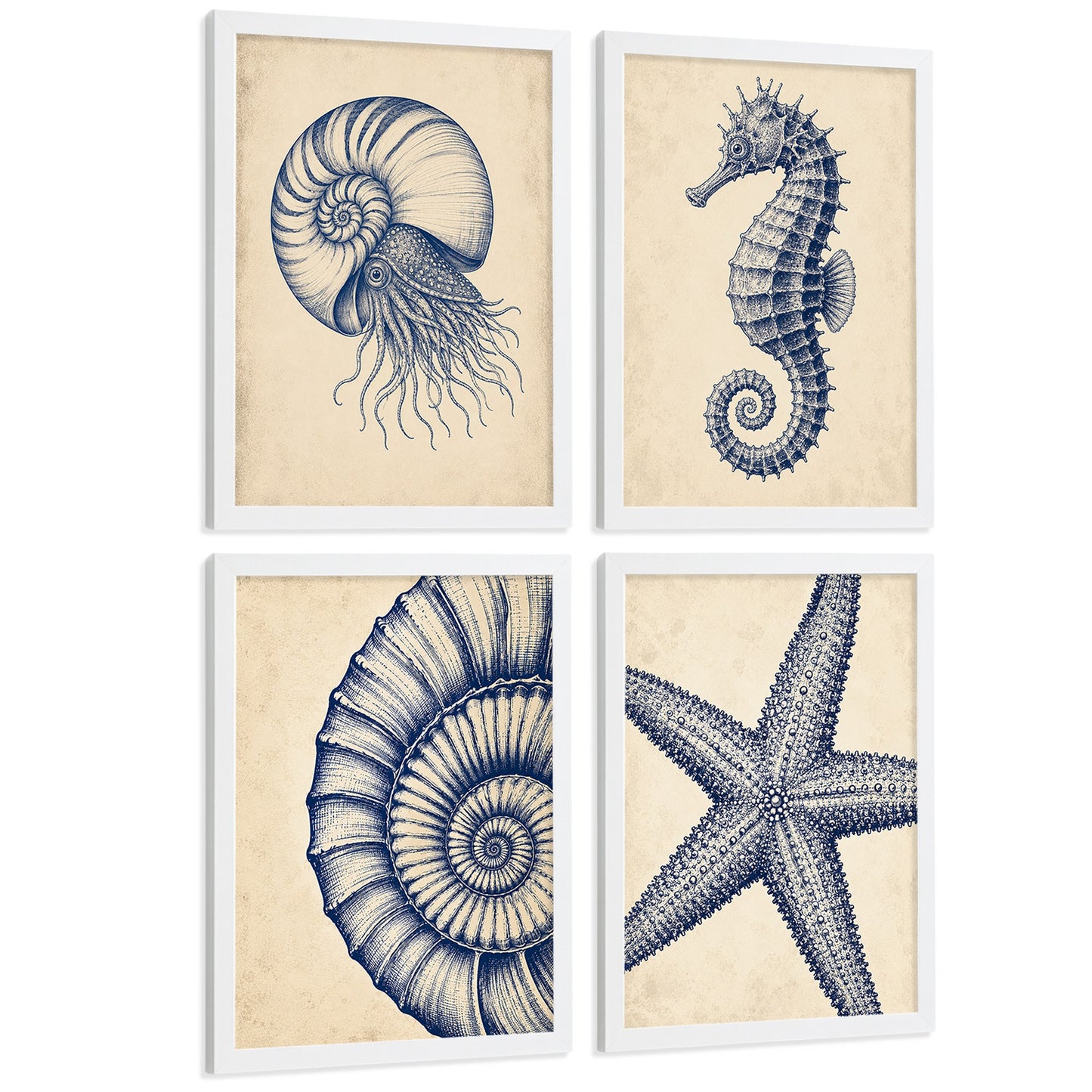 Posters de Costero con Nautilus Caballito de Mar y Estrella de Mar