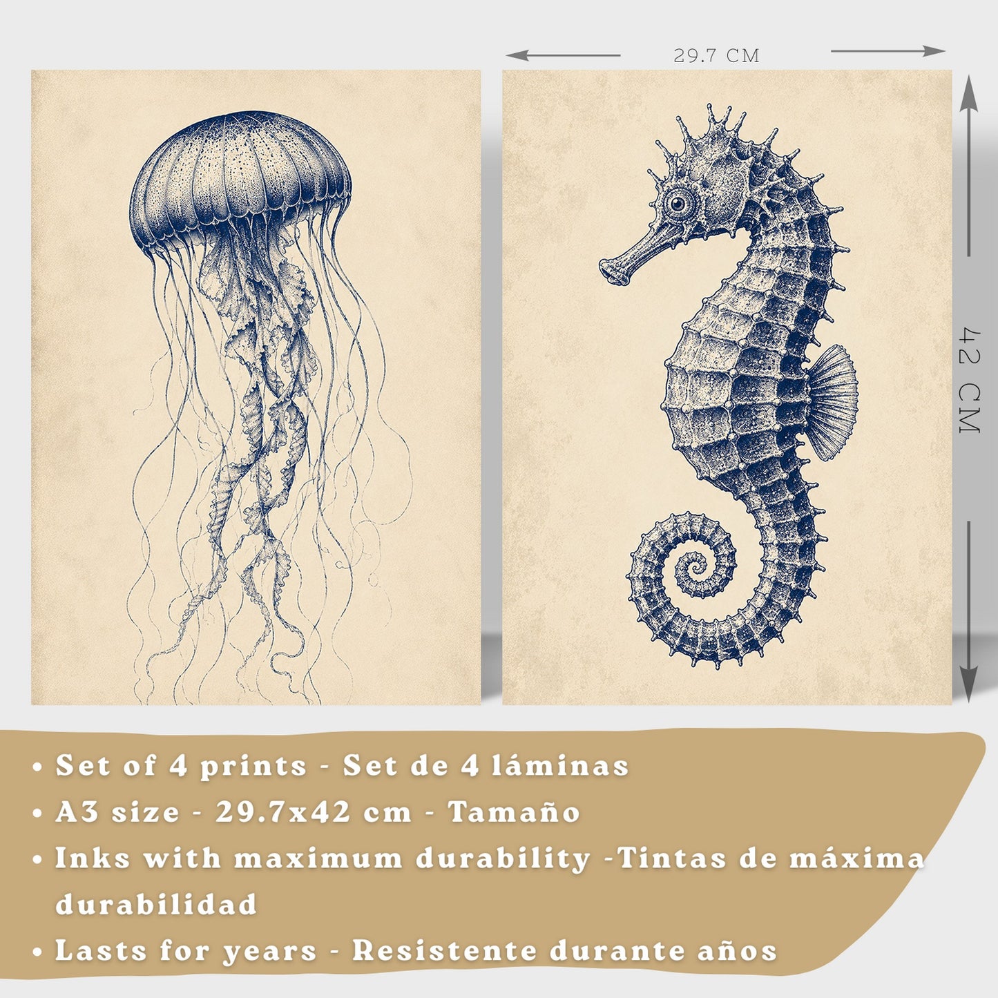 Posters de Costero con Medusa, Caballito de Mar y Arte de Nautilus