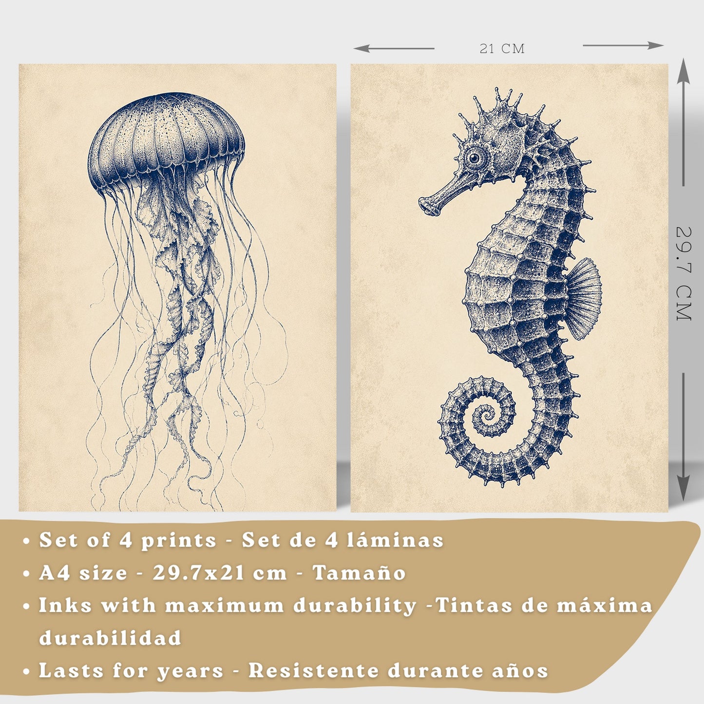 Posters de Costero con Medusa, Caballito de Mar y Arte de Nautilus