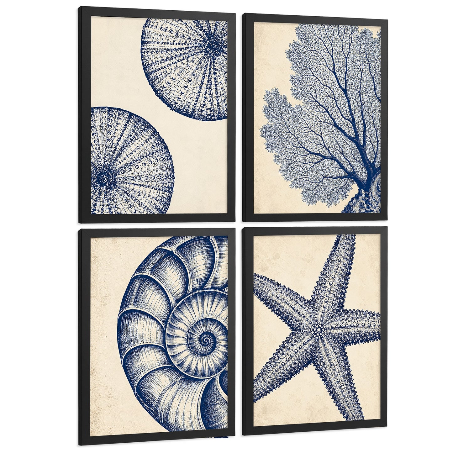 Posters de Azul Costero con Coral, Nautilus y Estrella de Mar