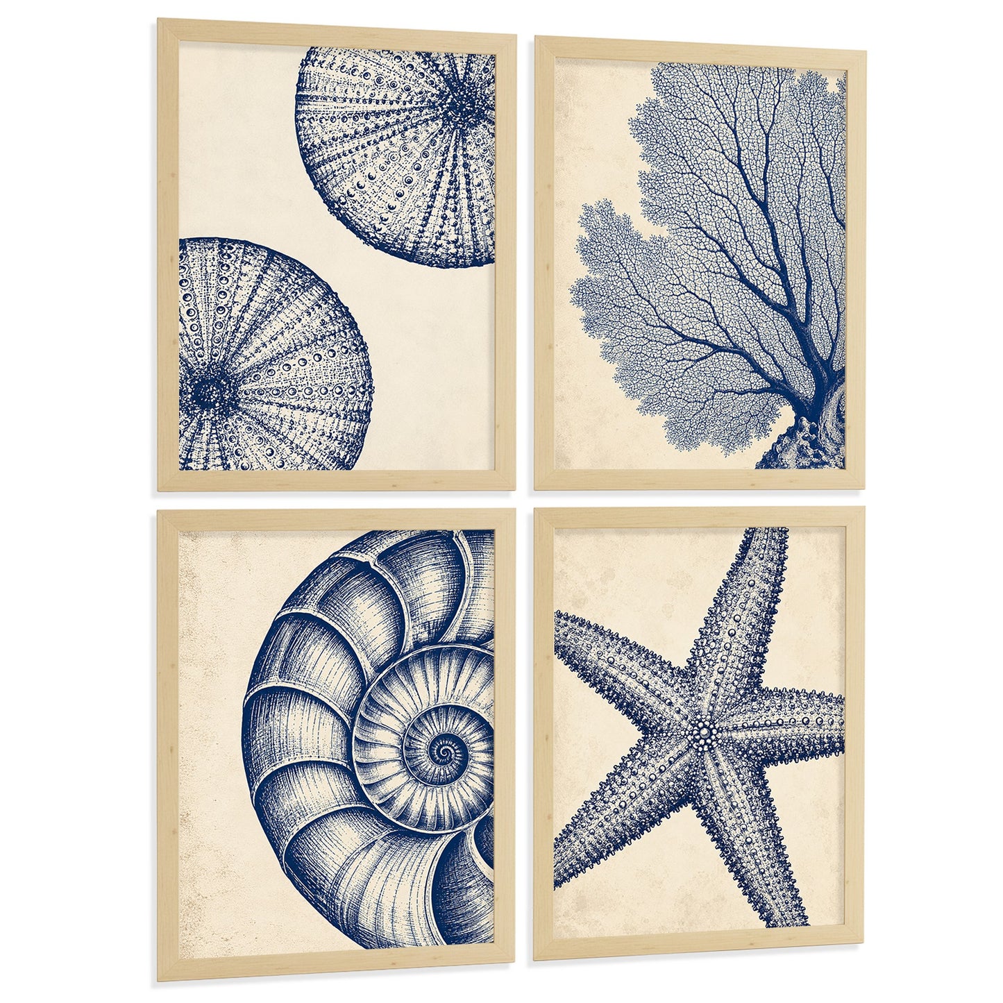 Posters de Azul Costero con Coral, Nautilus y Estrella de Mar