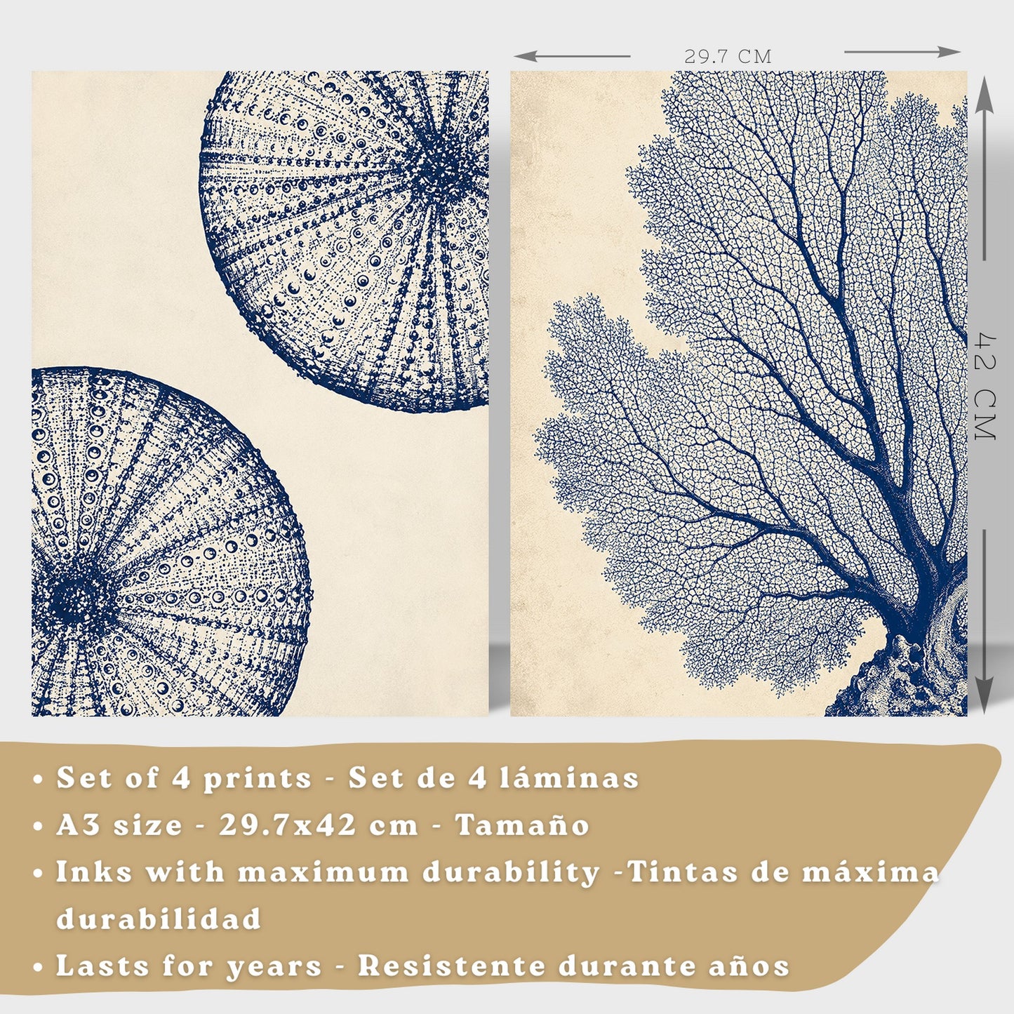 Posters de Azul Costero con Coral, Nautilus y Estrella de Mar