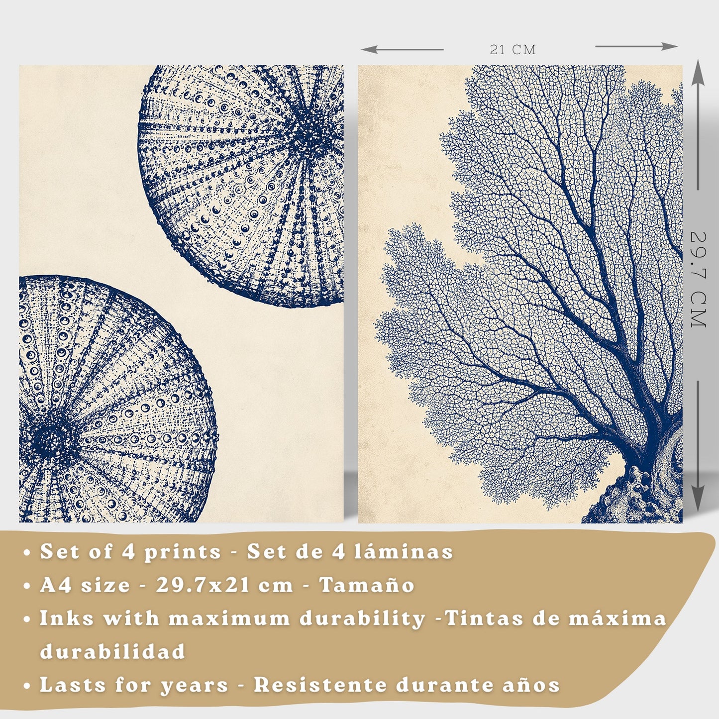 Posters de Azul Costero con Coral, Nautilus y Estrella de Mar