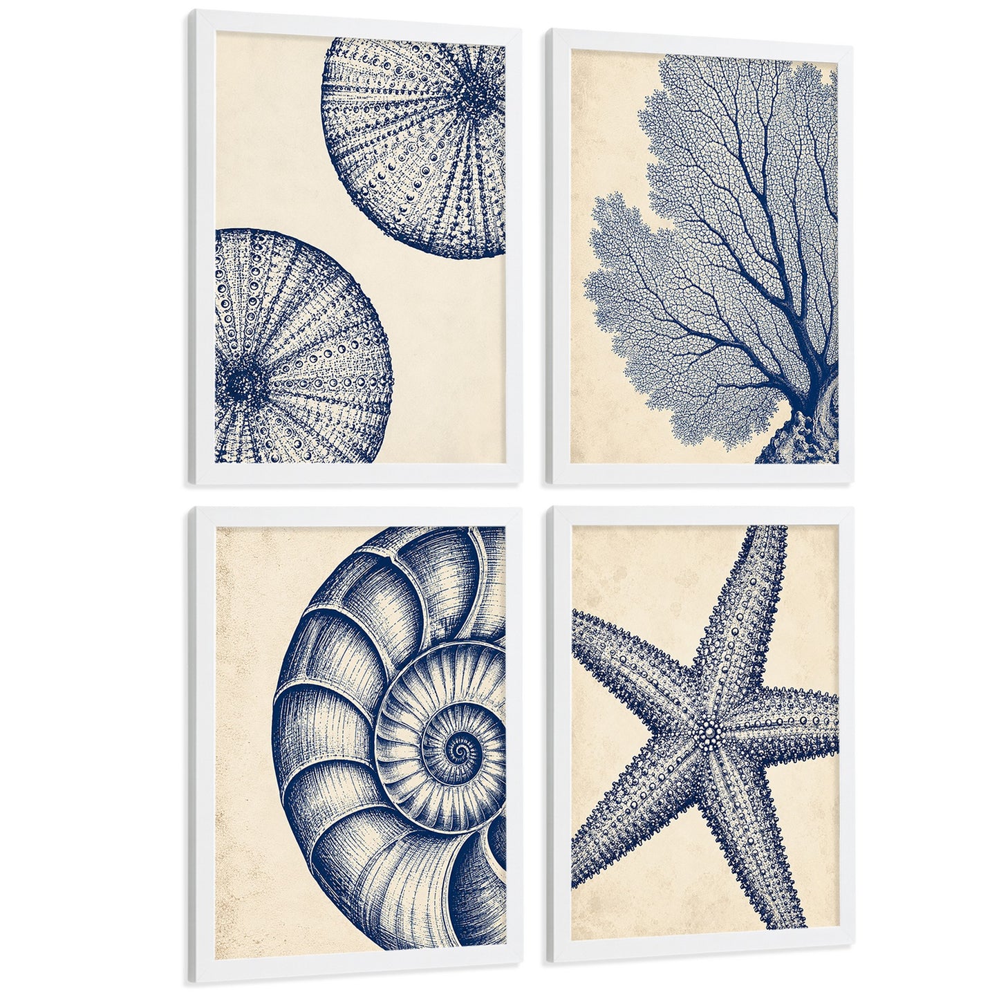Posters de Azul Costero con Coral, Nautilus y Estrella de Mar