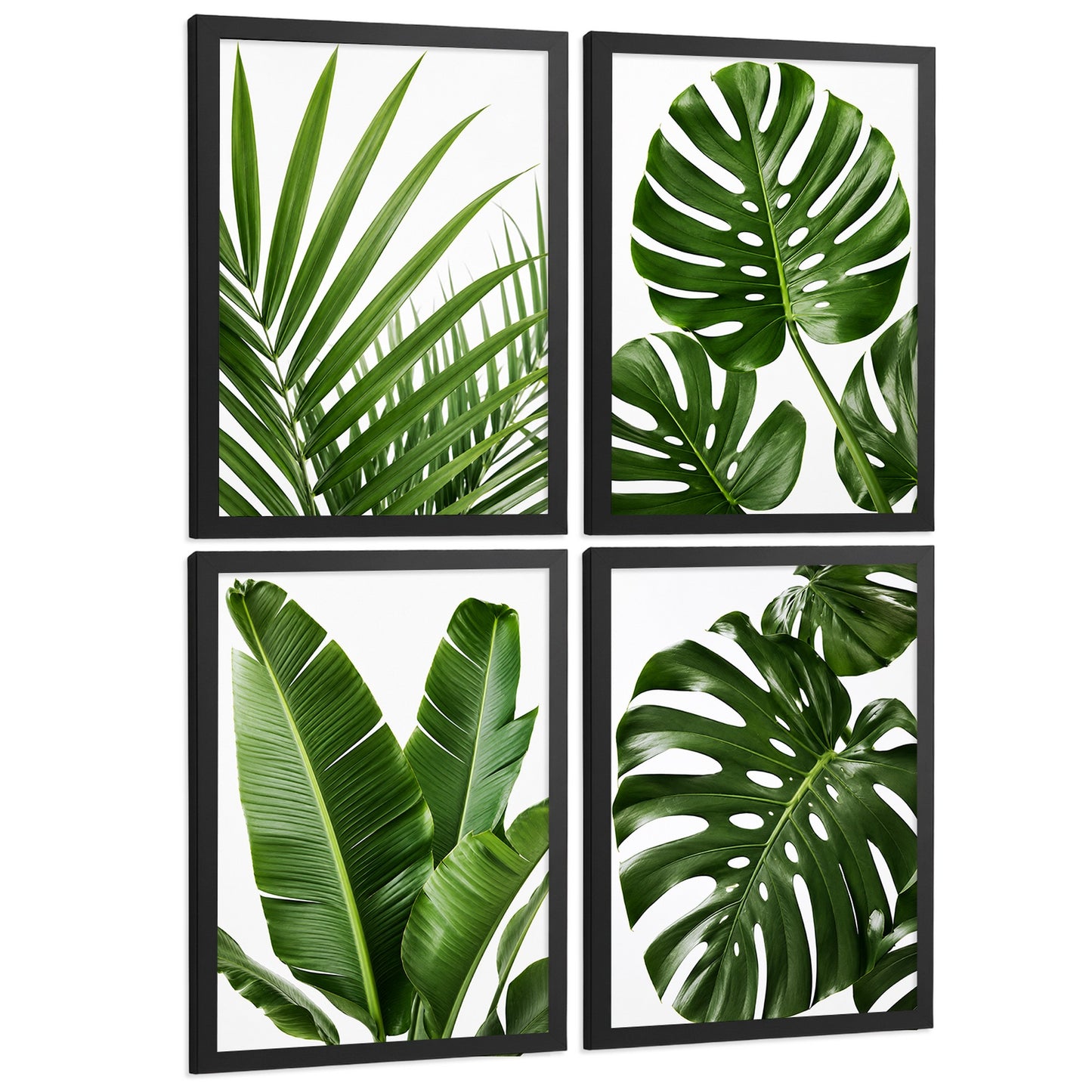 Posters de Hojas Tropicales con Arte Botánico de Monstera y Palma