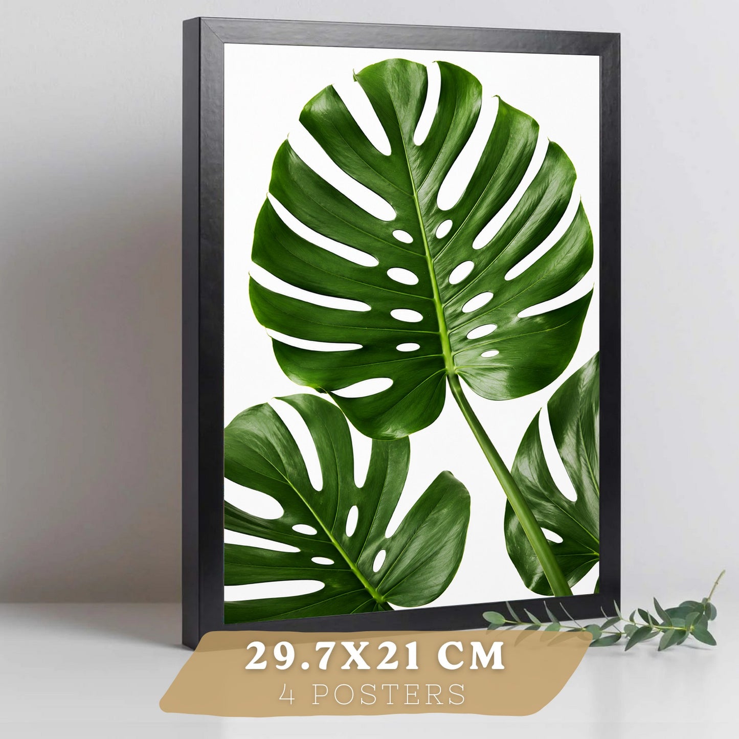 Posters de Hojas Tropicales con Arte Botánico de Monstera y Palma