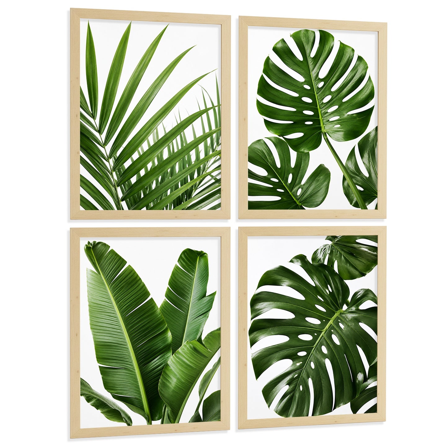 Posters de Hojas Tropicales con Arte Botánico de Monstera y Palma