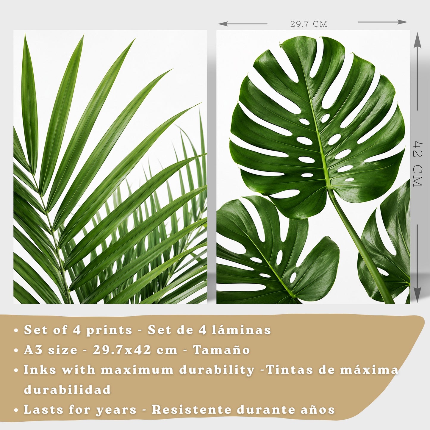 Posters de Hojas Tropicales con Arte Botánico de Monstera y Palma