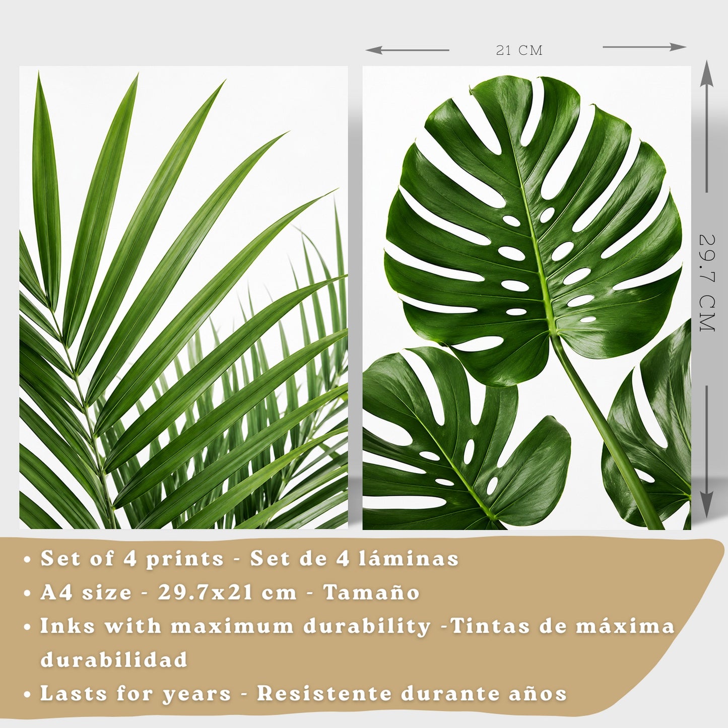 Posters de Hojas Tropicales con Arte Botánico de Monstera y Palma