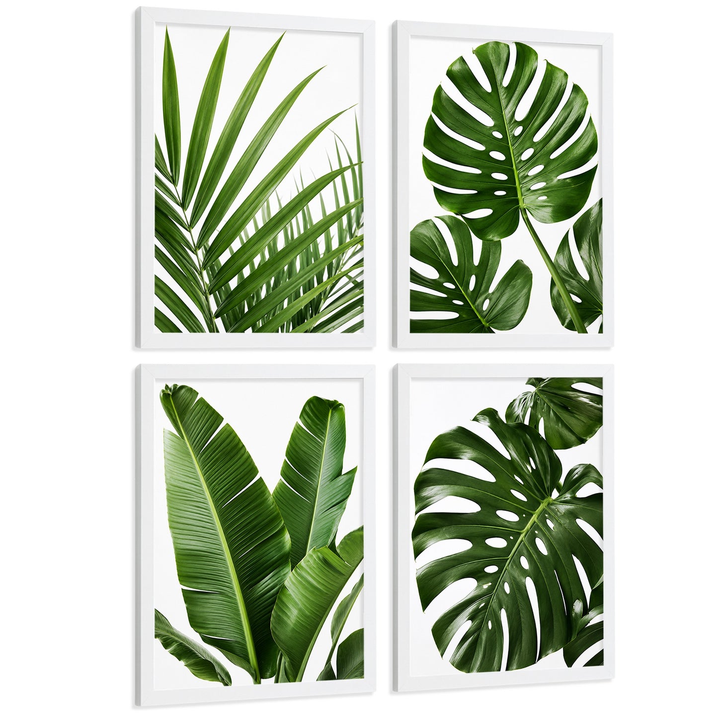 Posters de Hojas Tropicales con Arte Botánico de Monstera y Palma