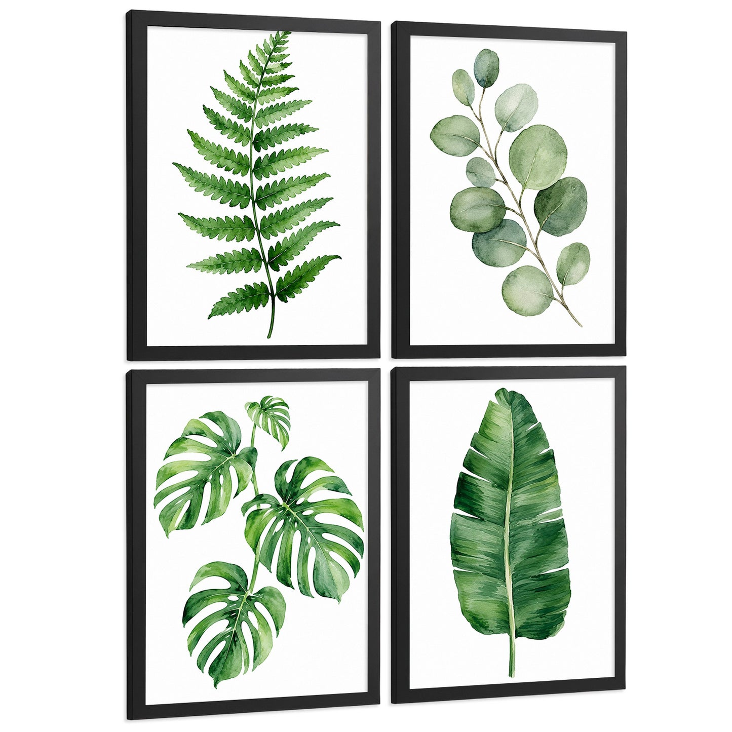 Posters Botánicos Tropicales con Helecho, Monstera y Eucalipto
