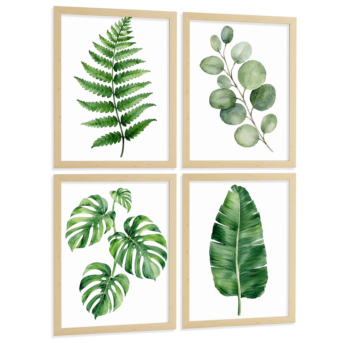 Posters Botánicos Tropicales con Helecho, Monstera y Eucalipto