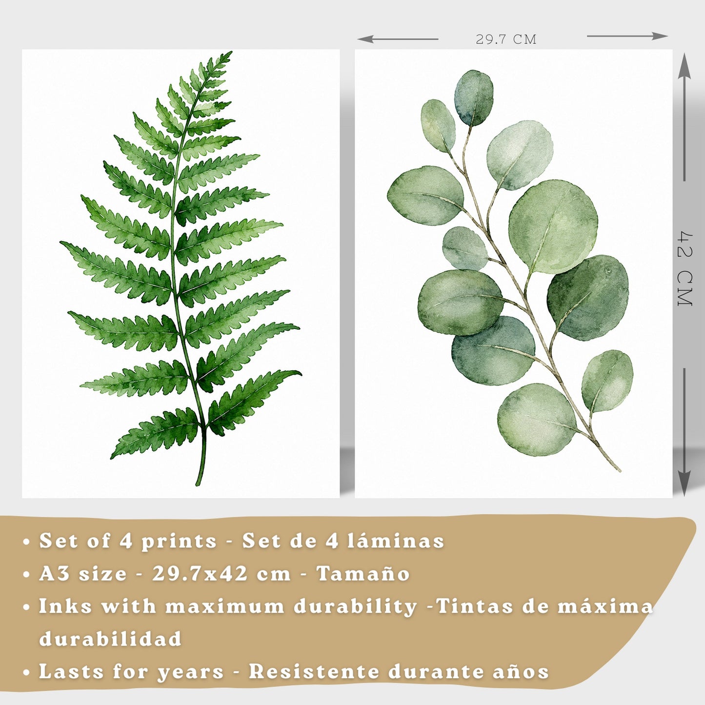 Posters Botánicos Tropicales con Helecho, Monstera y Eucalipto