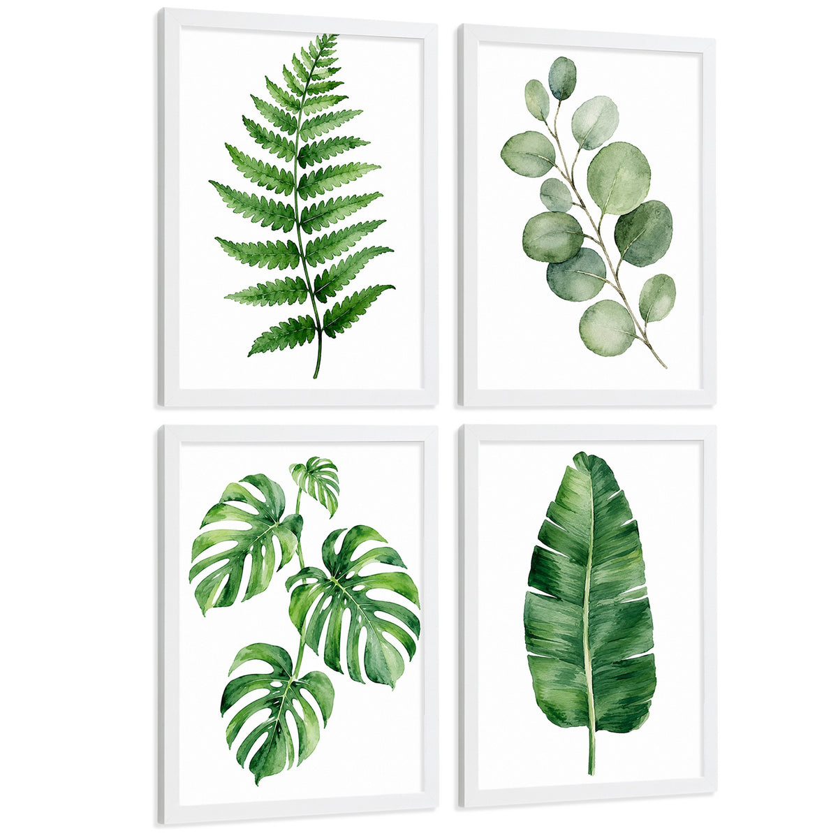 Posters Botánicos Tropicales con Helecho, Monstera y Eucalipto