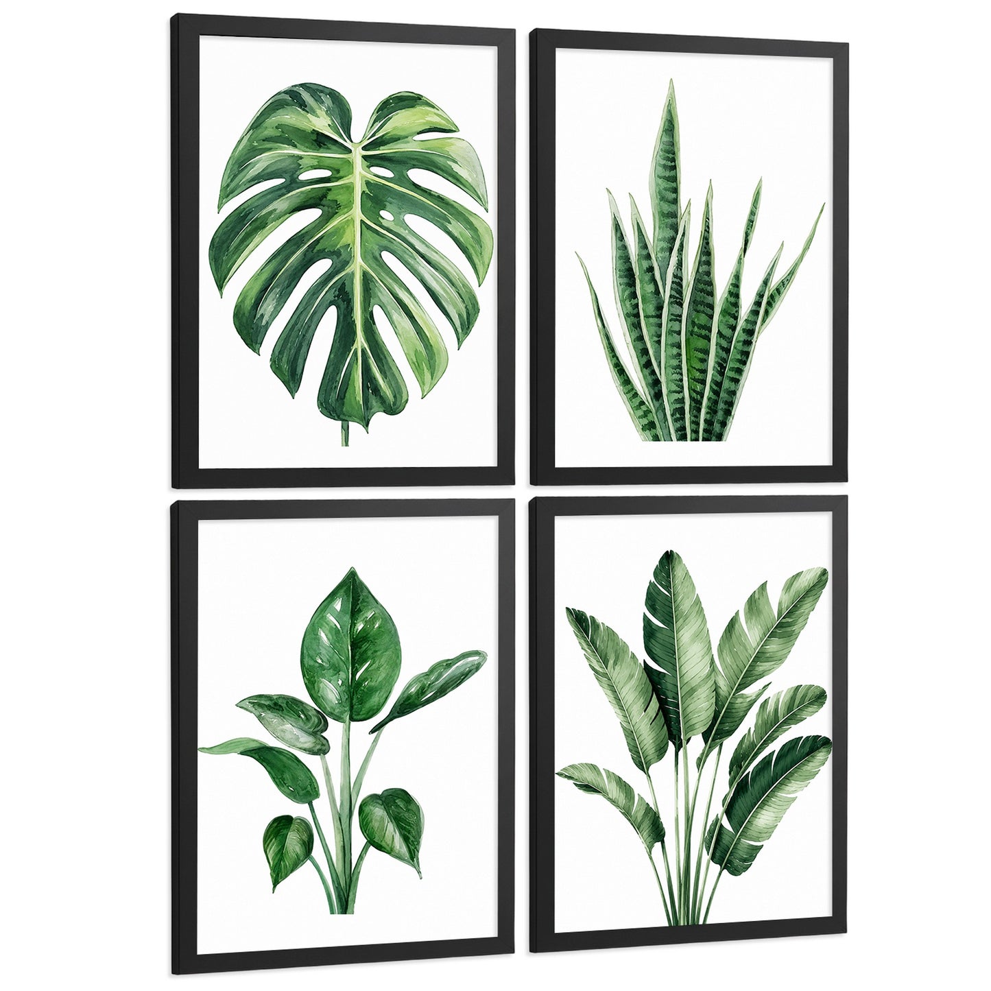 Posters Tropicales con Monstera, Sansevieria y Hojas de Plátano